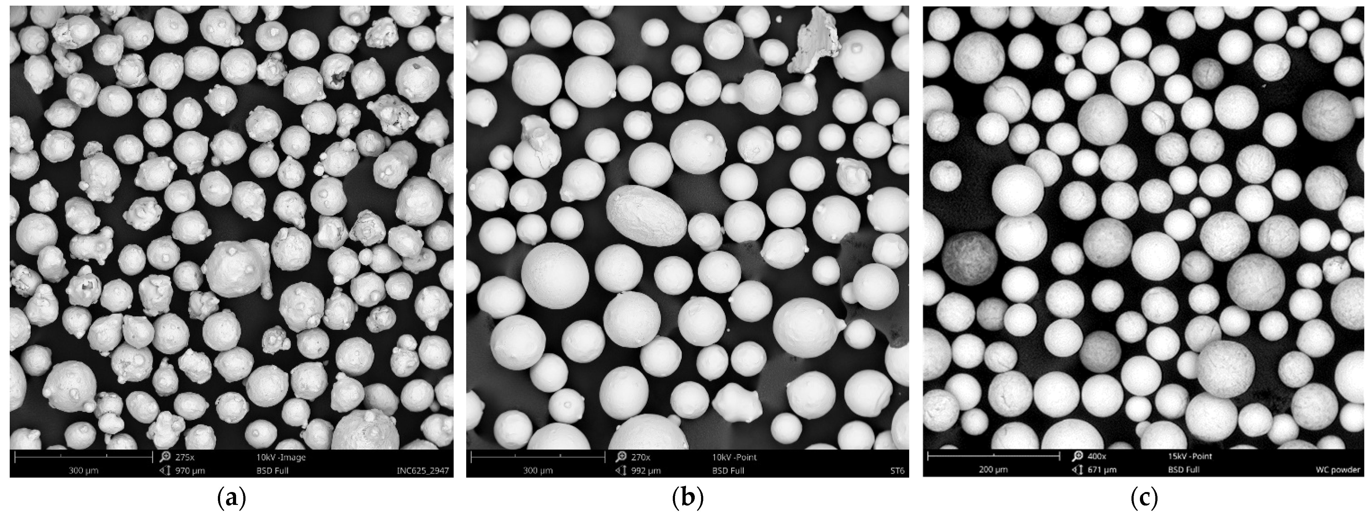 Coatings 15 00468 g002