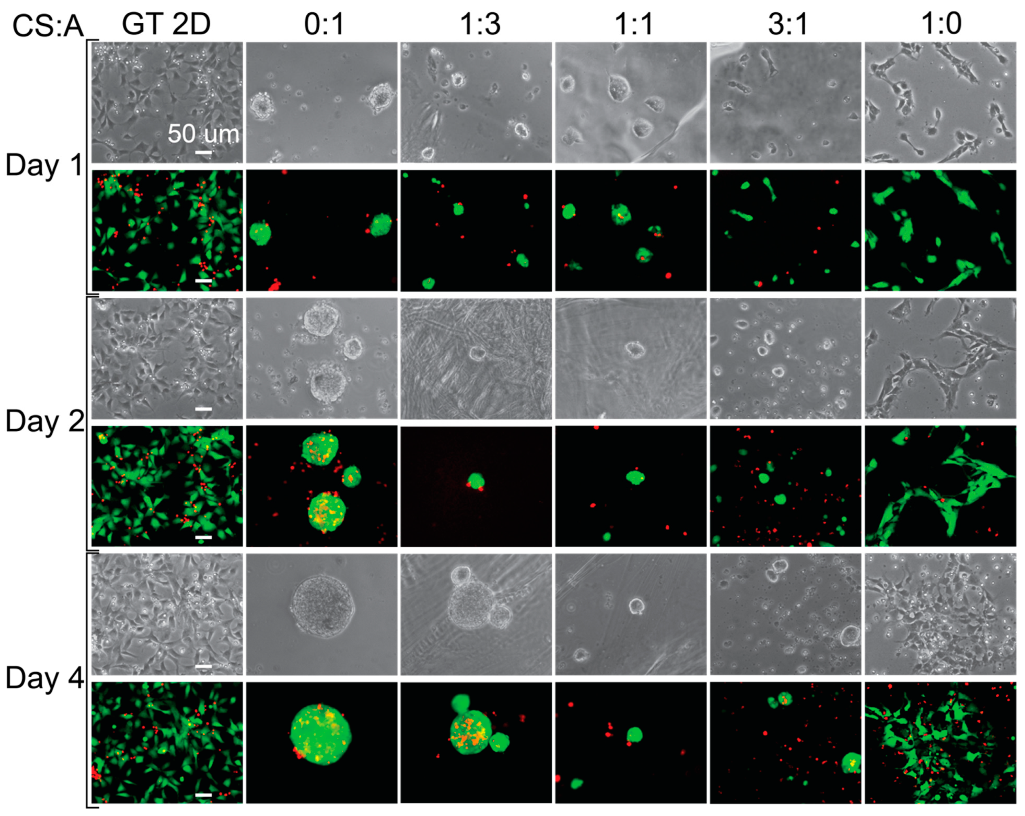 Coatings 15 00473 g003