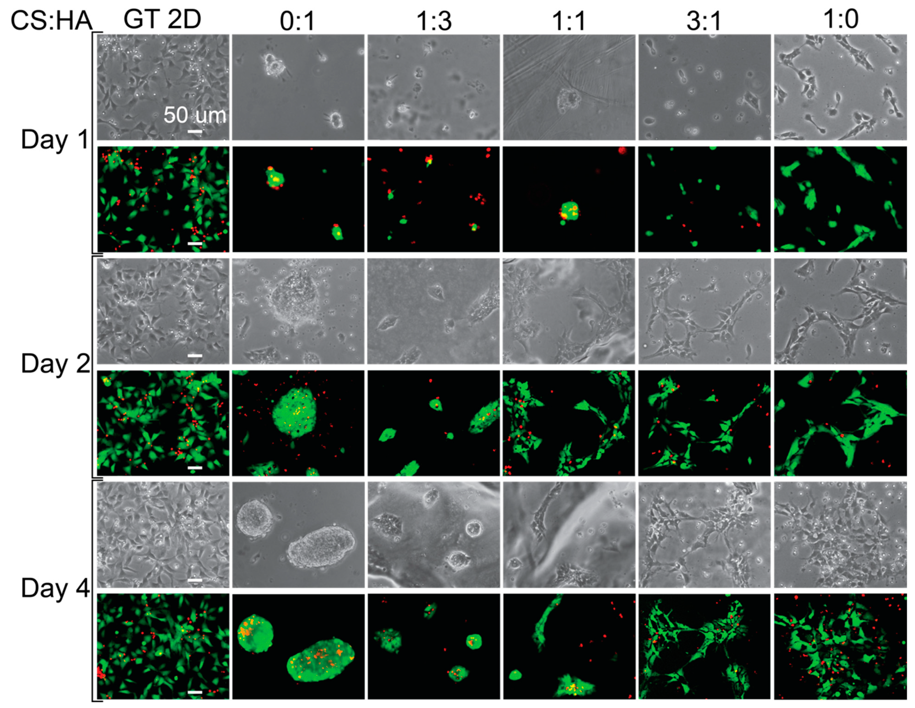 Coatings 15 00473 g004