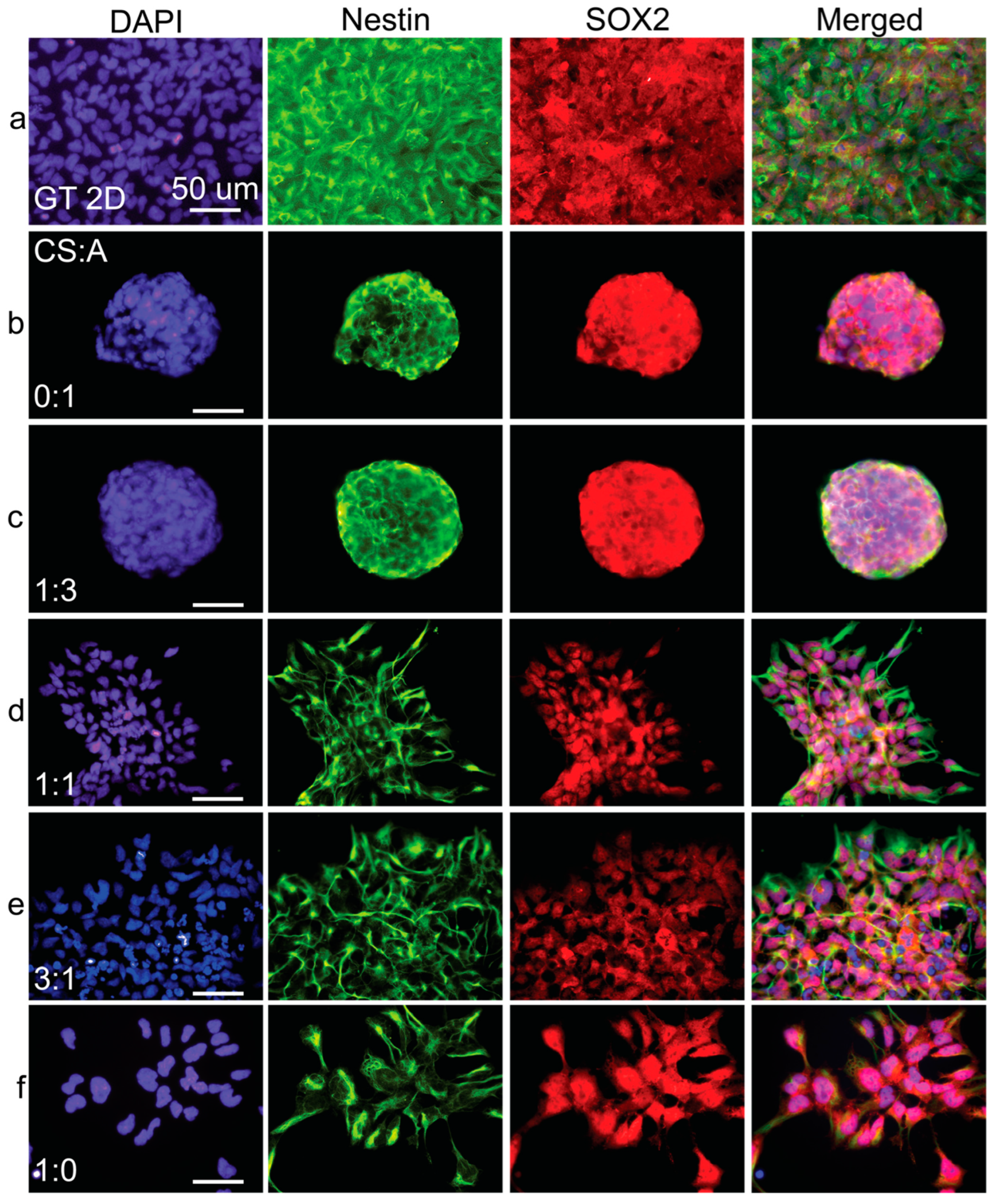 Coatings 15 00473 g007
