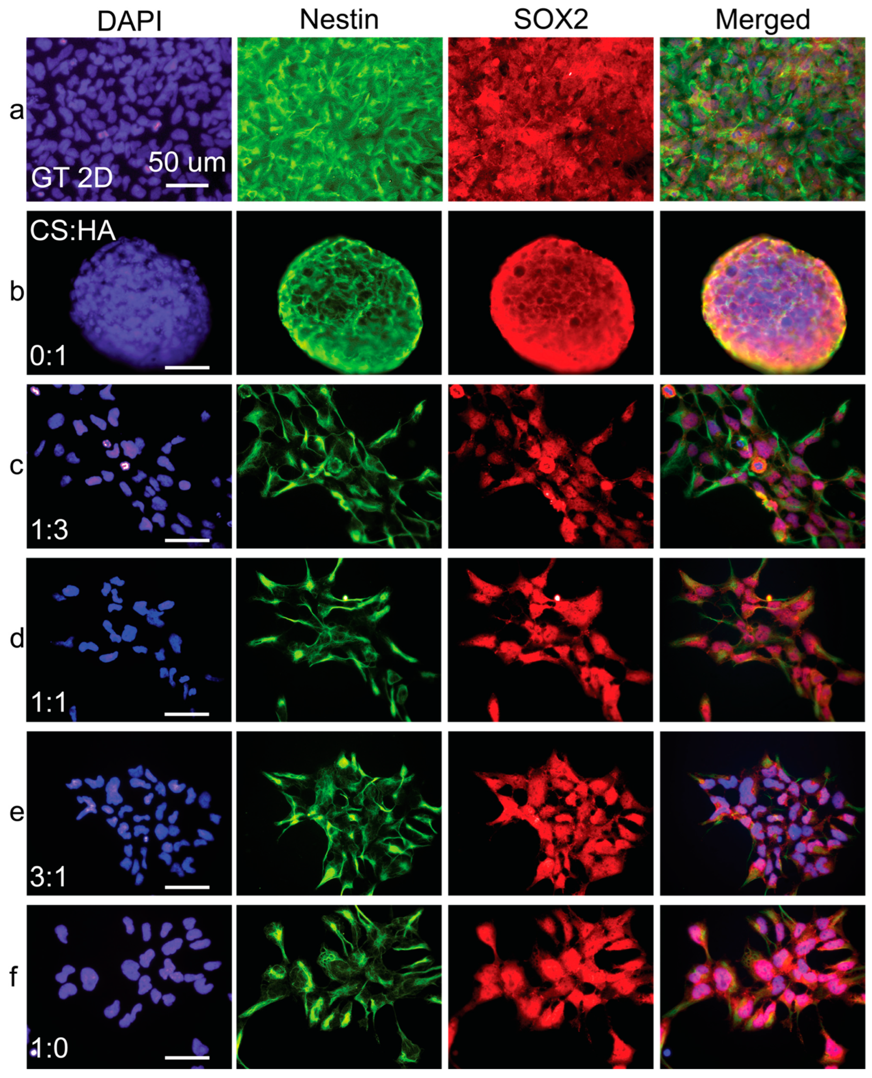 Coatings 15 00473 g008