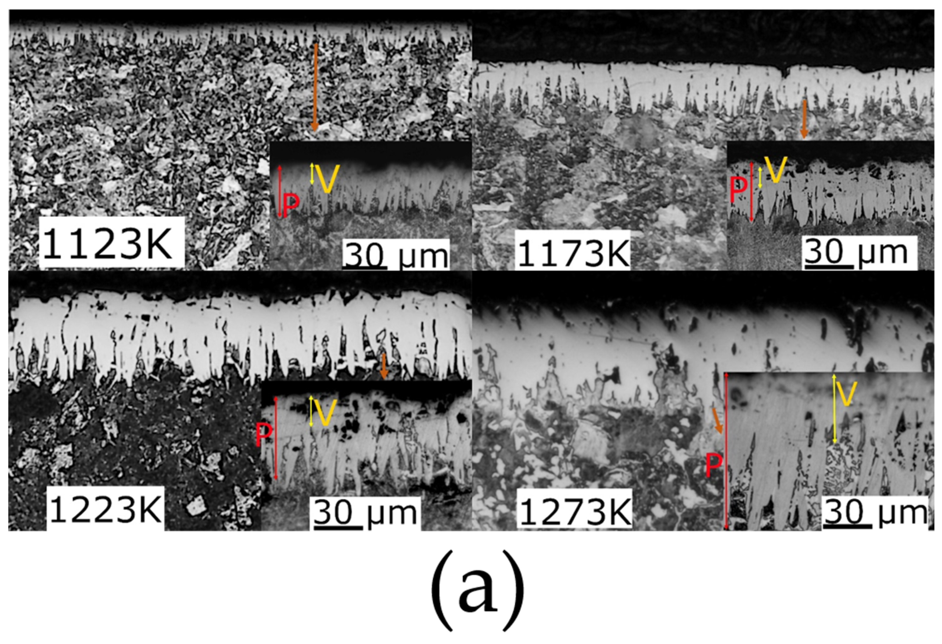 Coatings 15 00474 g002a