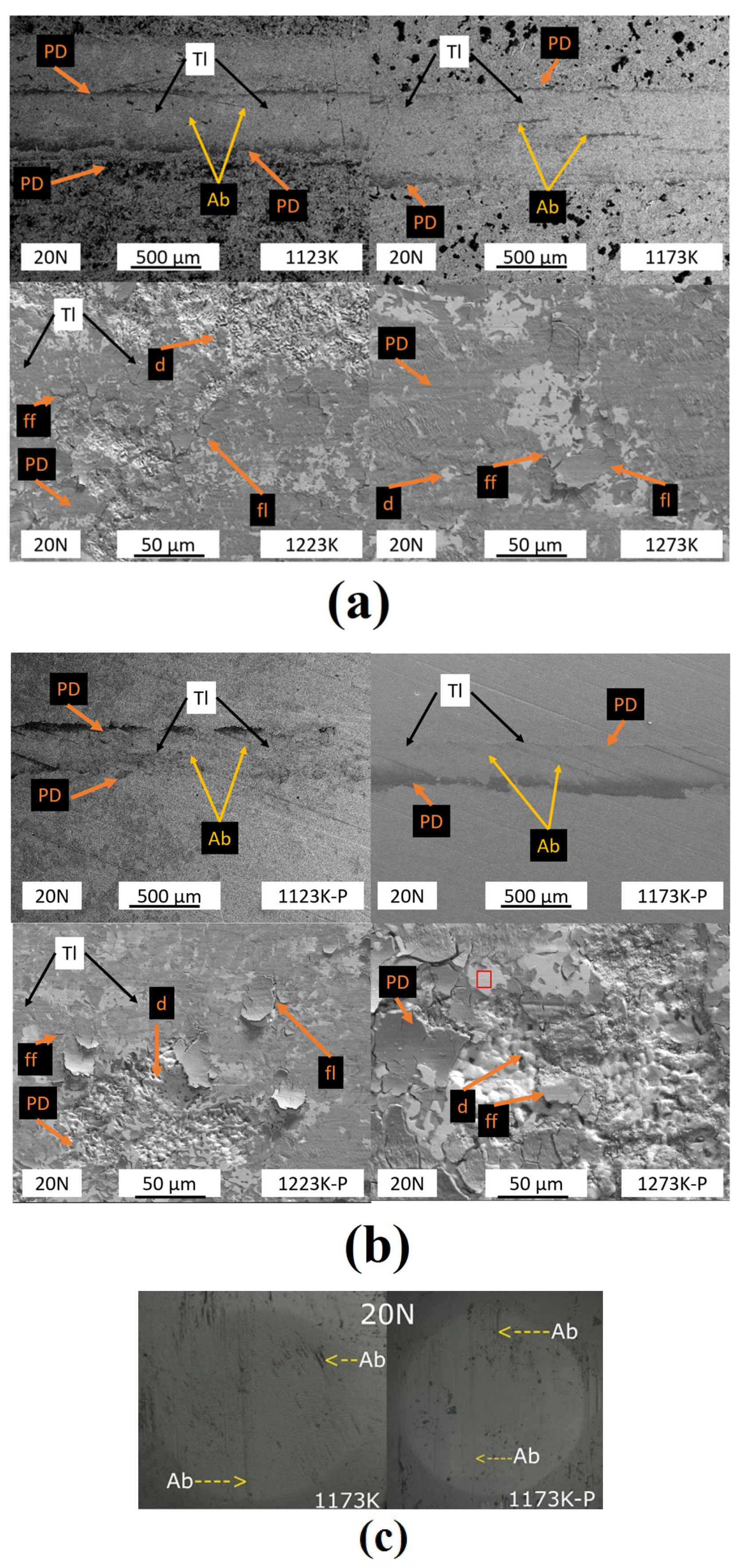 Coatings 15 00474 g005
