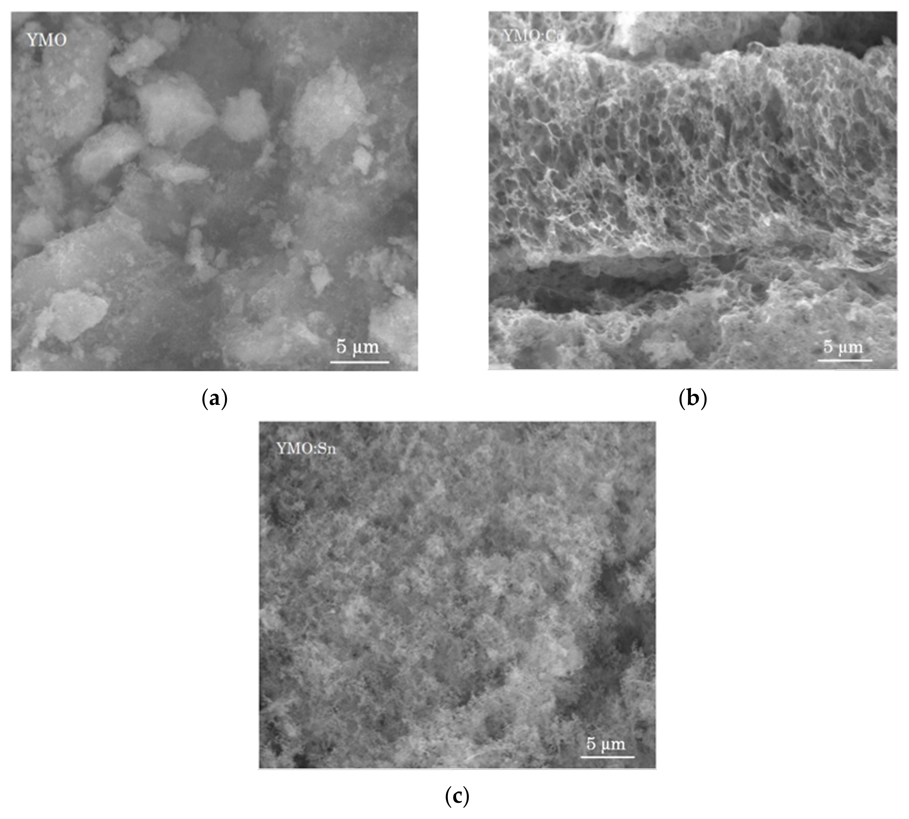 Coatings 15 00475 g004
