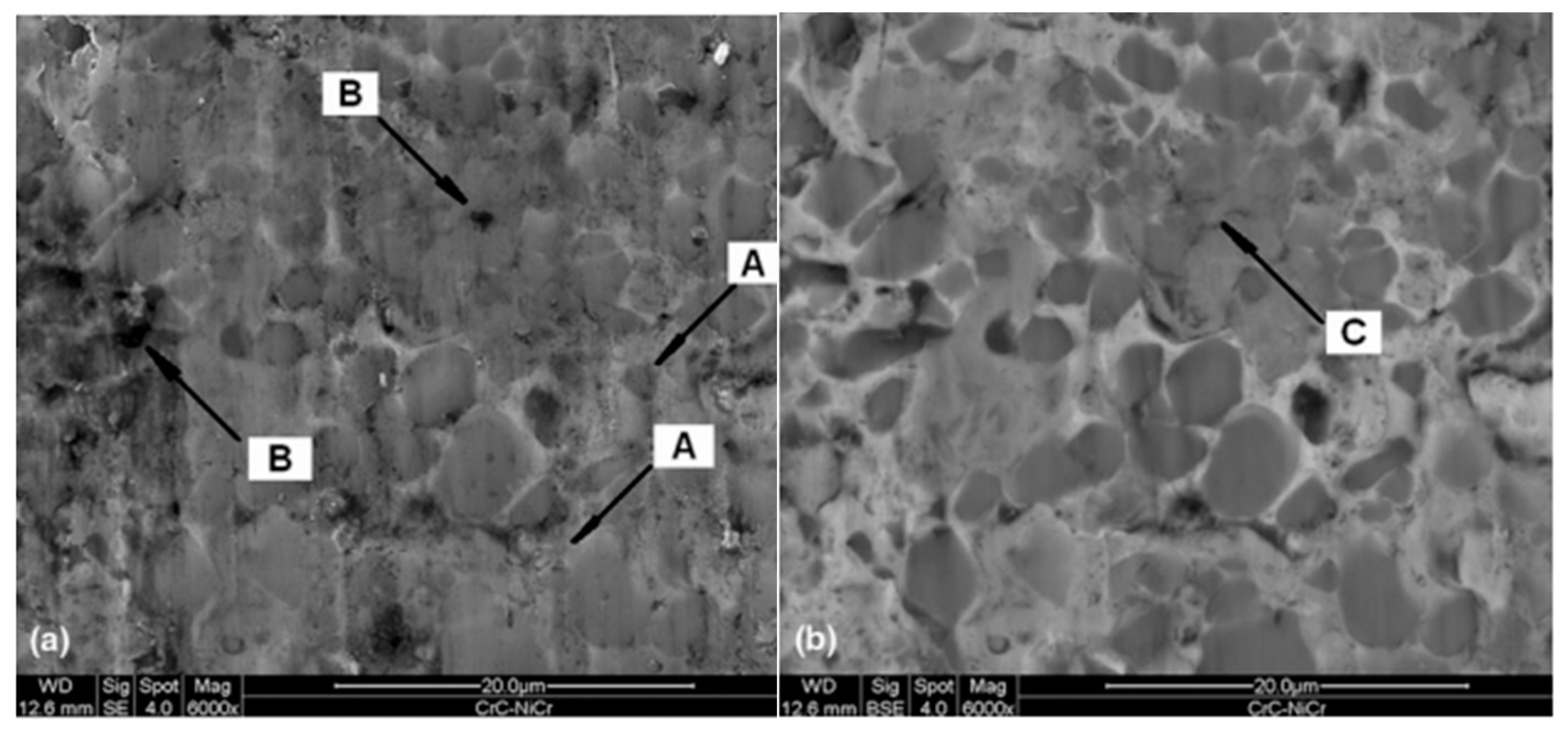 Coatings 15 00479 g007
