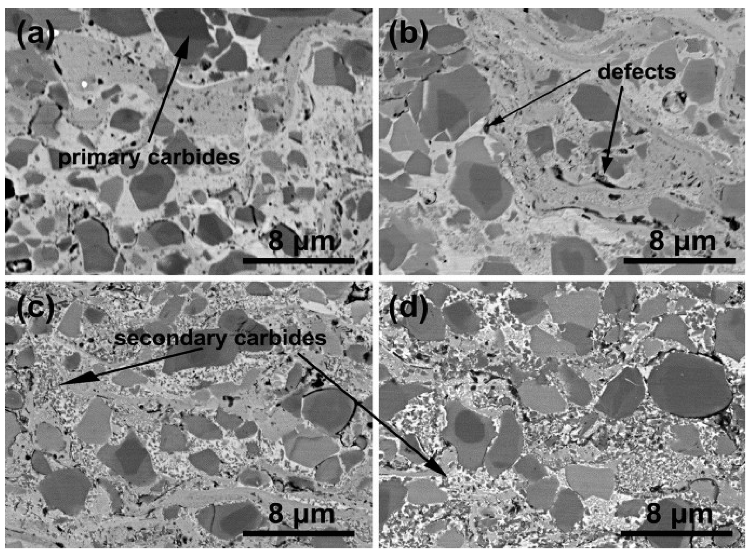 Coatings 15 00479 g014