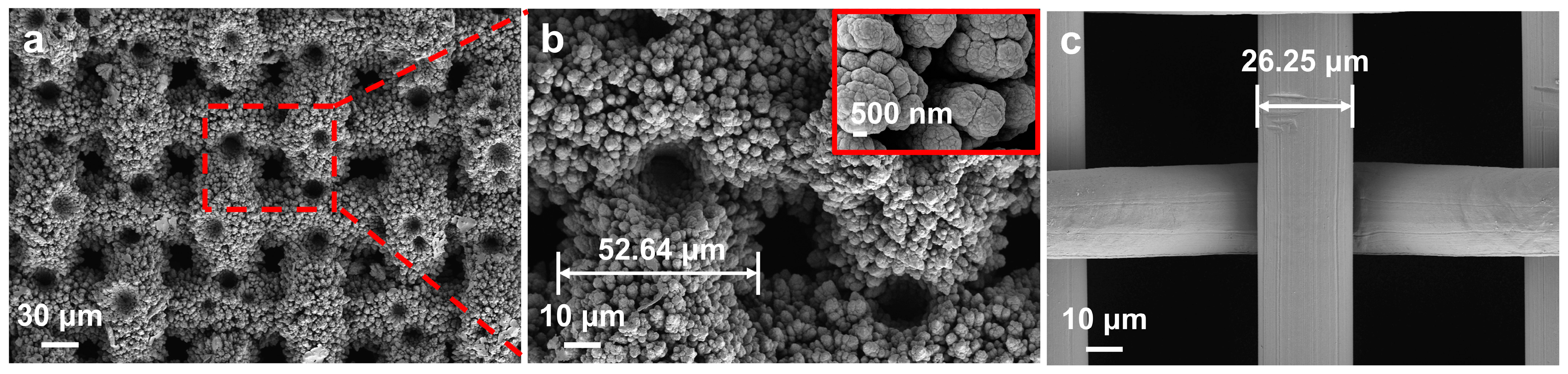 Coatings 15 00480 g002