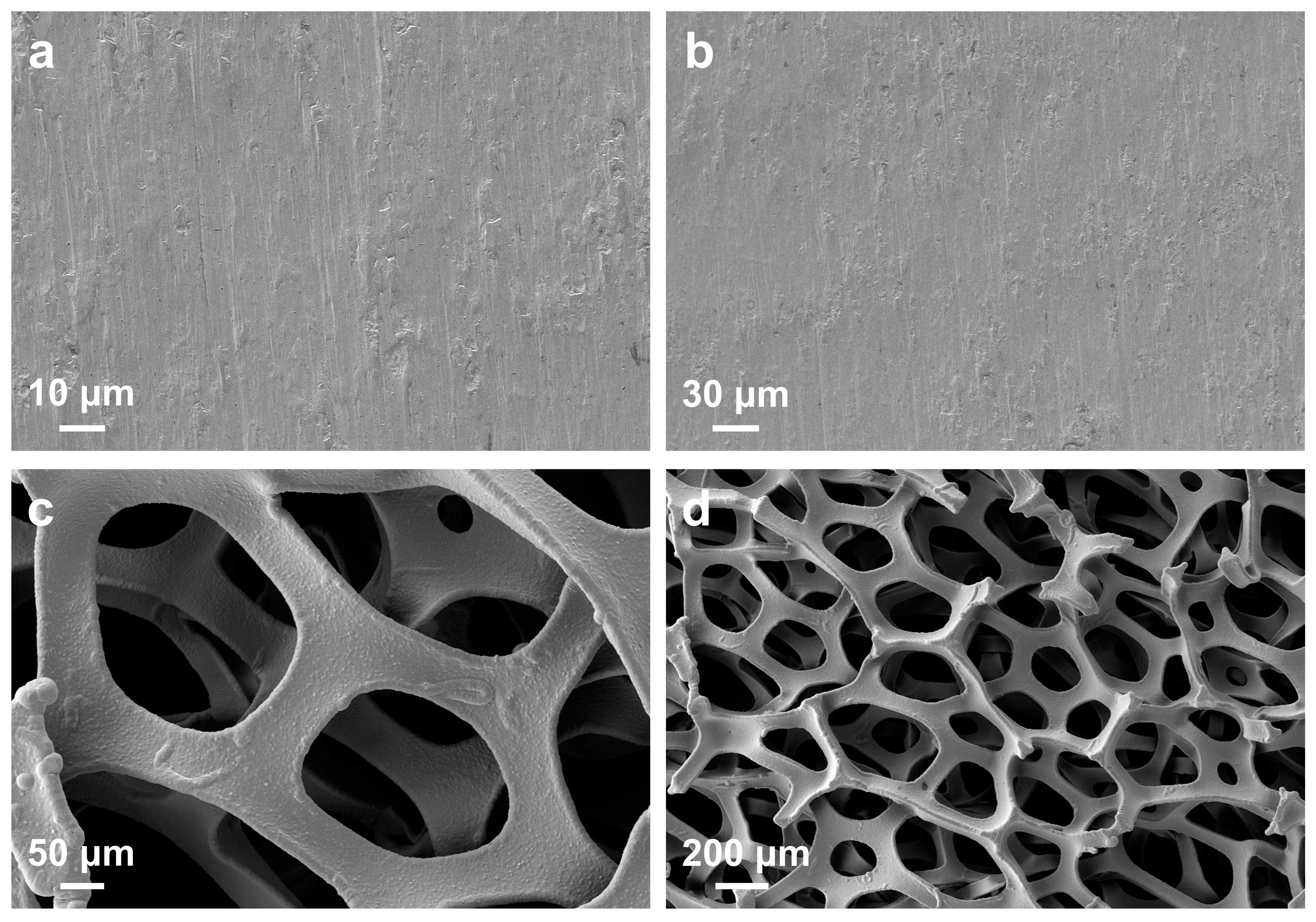 Coatings 15 00480 g003