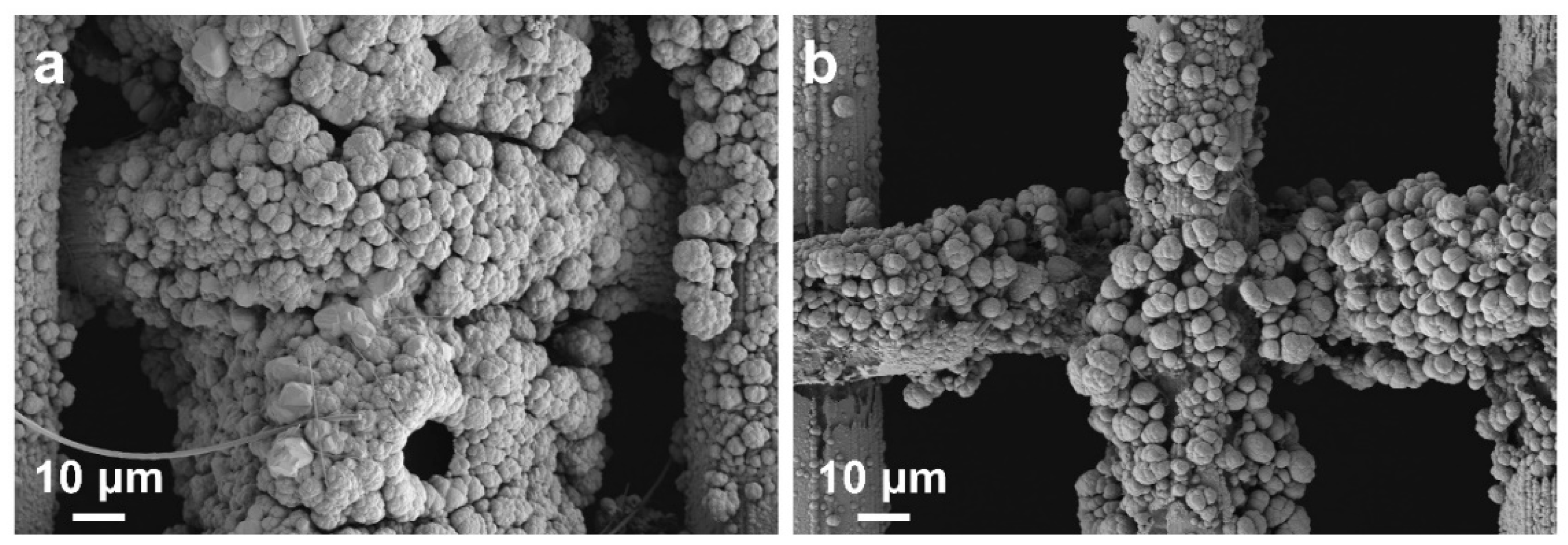 Coatings 15 00480 g006