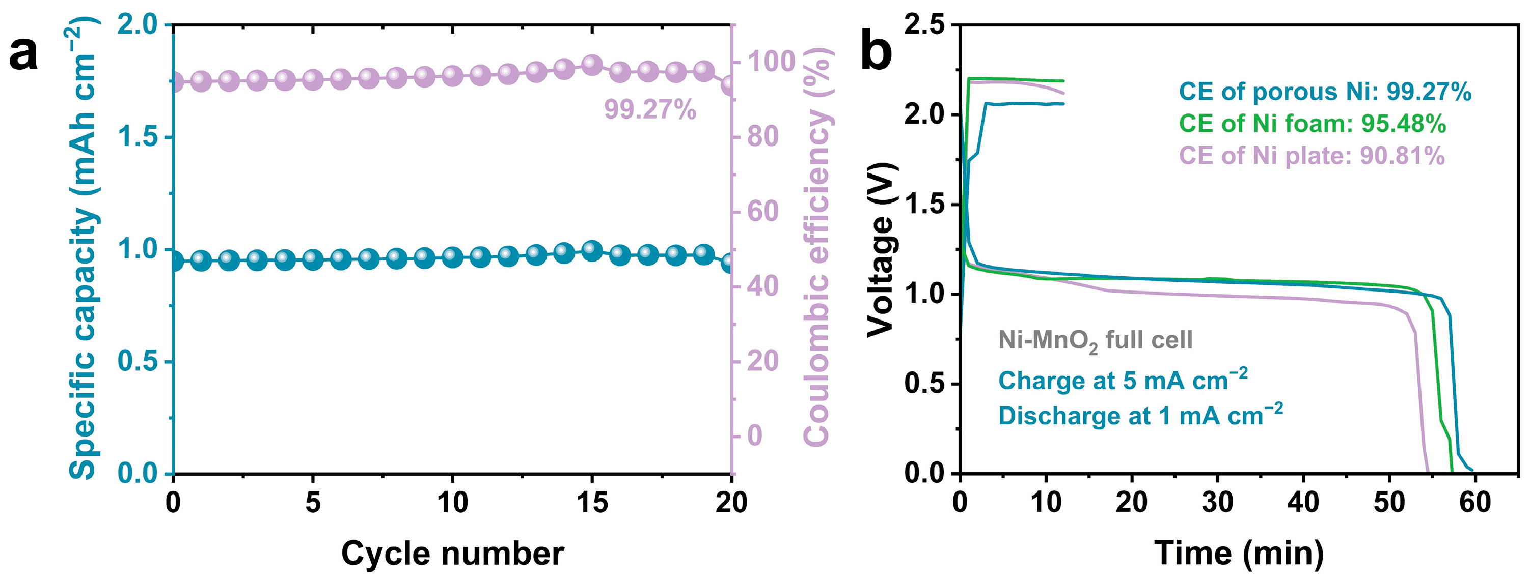 Coatings 15 00480 g007