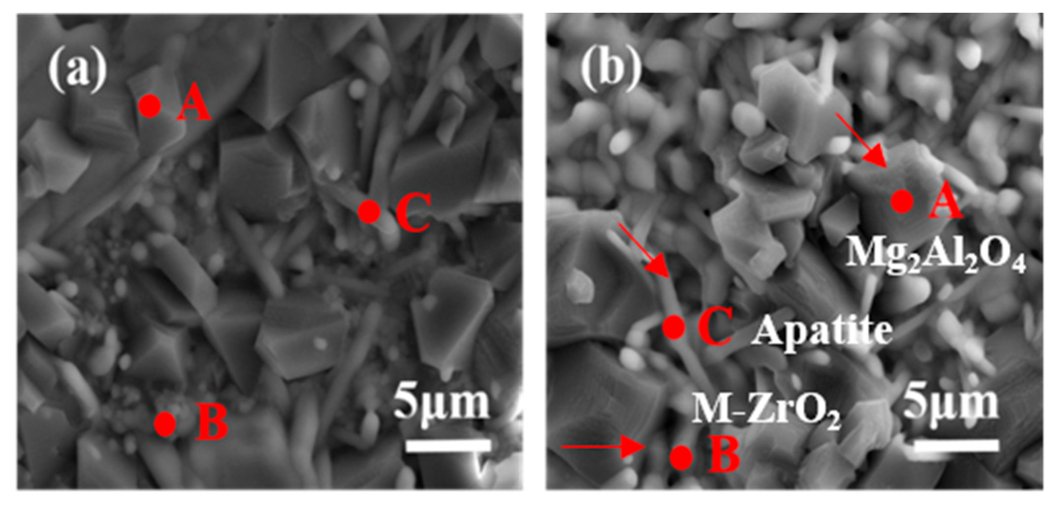 Coatings 15 00483 g008