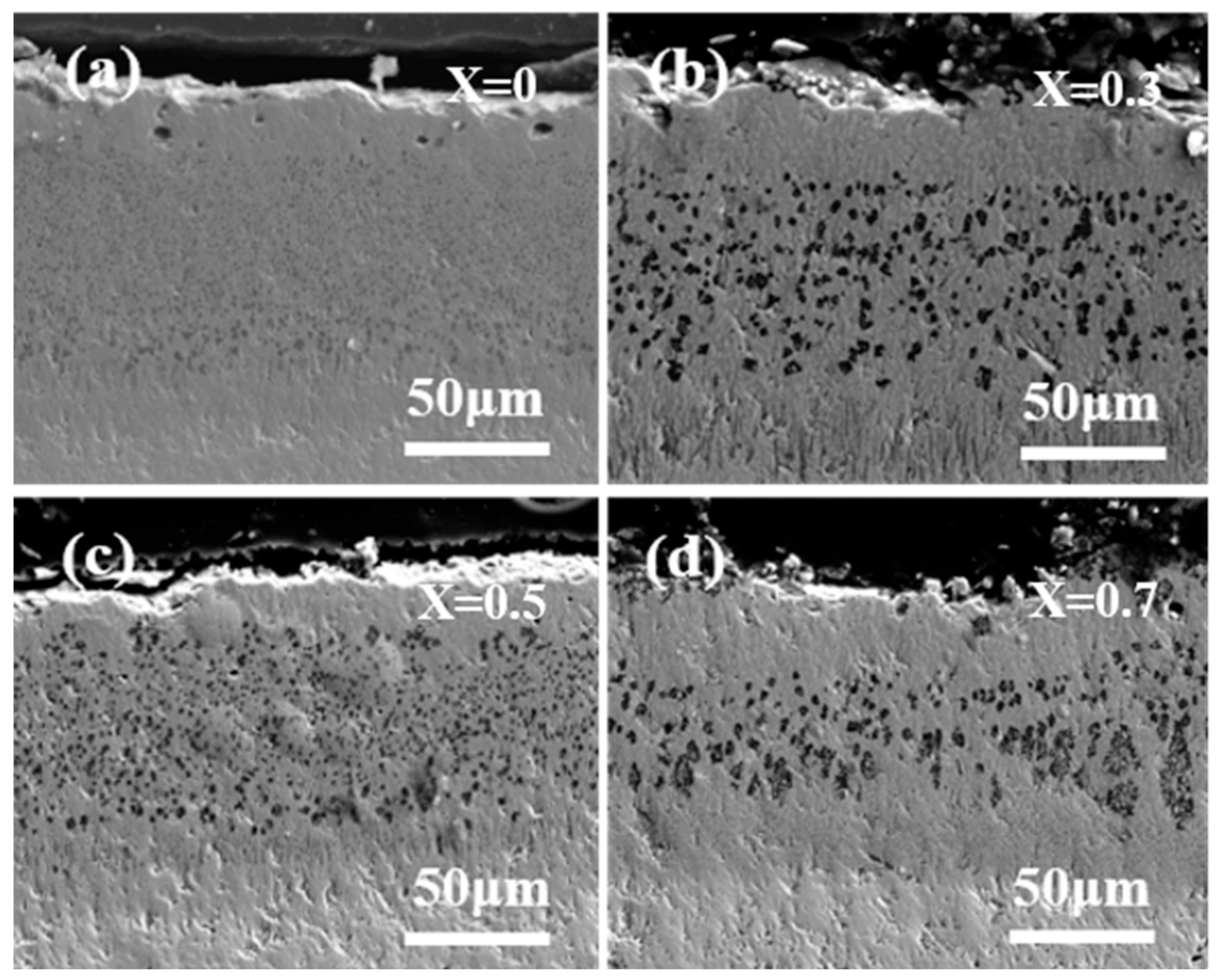 Coatings 15 00483 g014