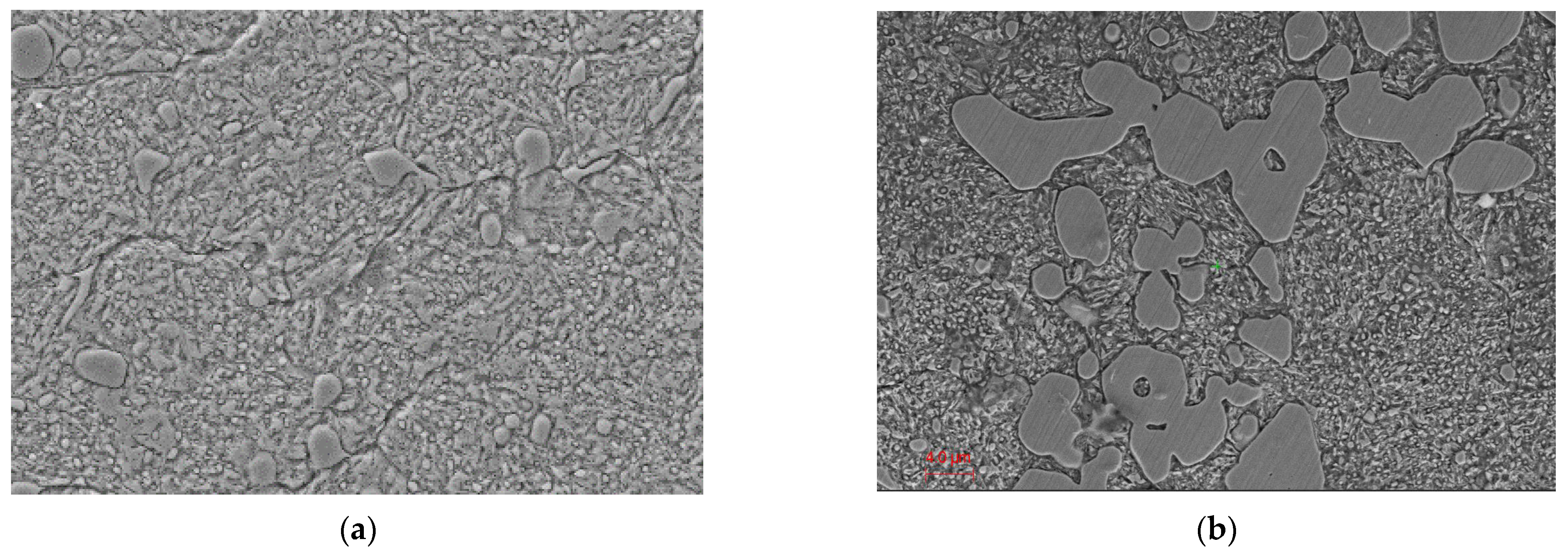 Coatings 15 00487 g002