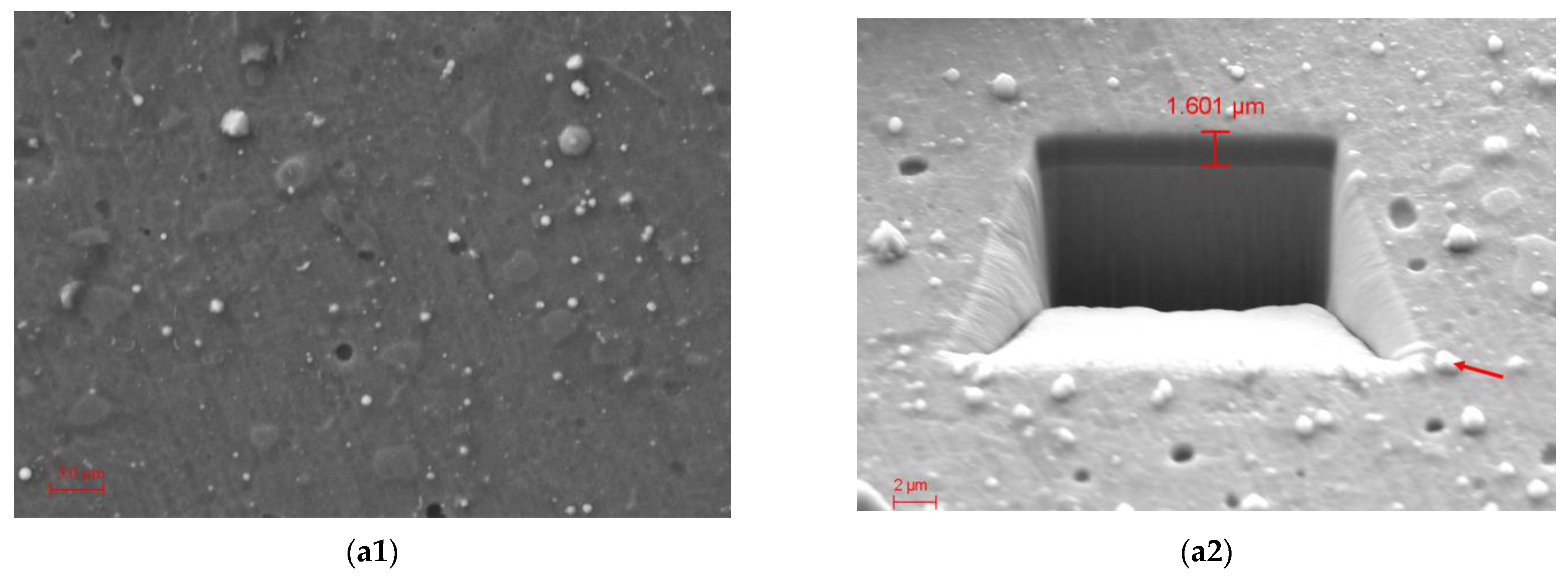 Coatings 15 00487 g003a