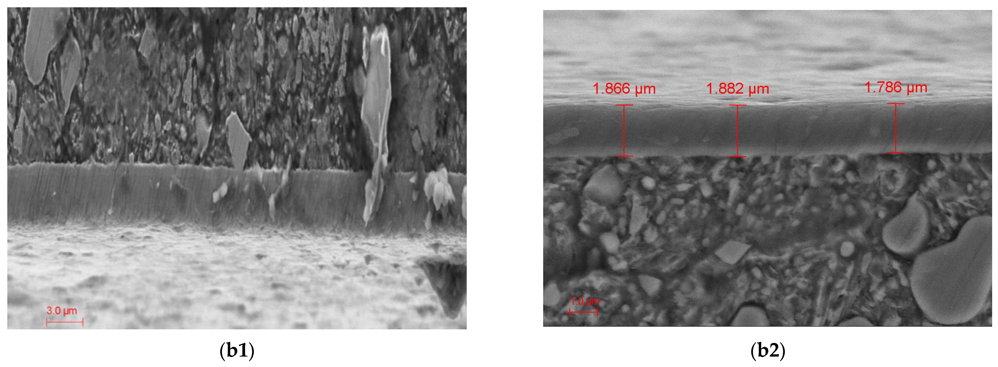 Coatings 15 00487 g003b