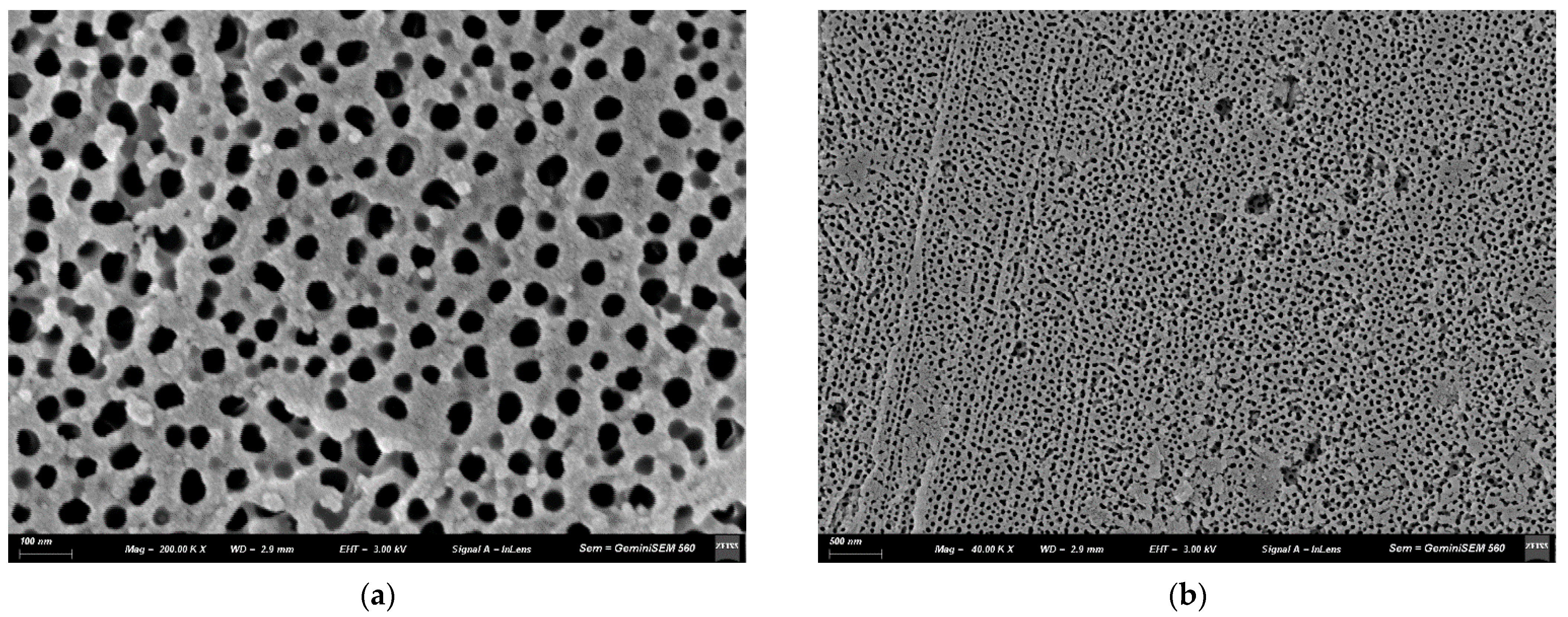 Coatings 15 00488 g001a
