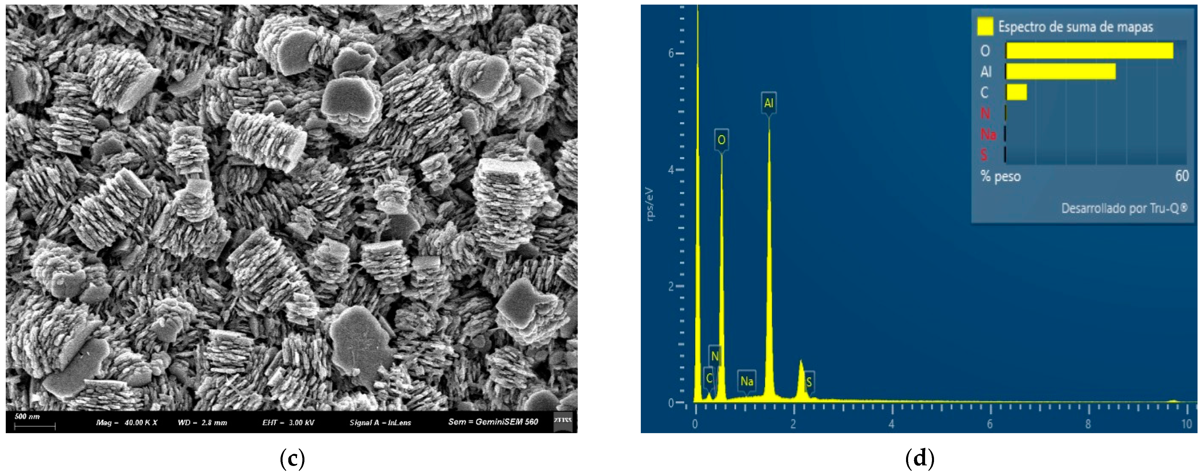 Coatings 15 00488 g001b