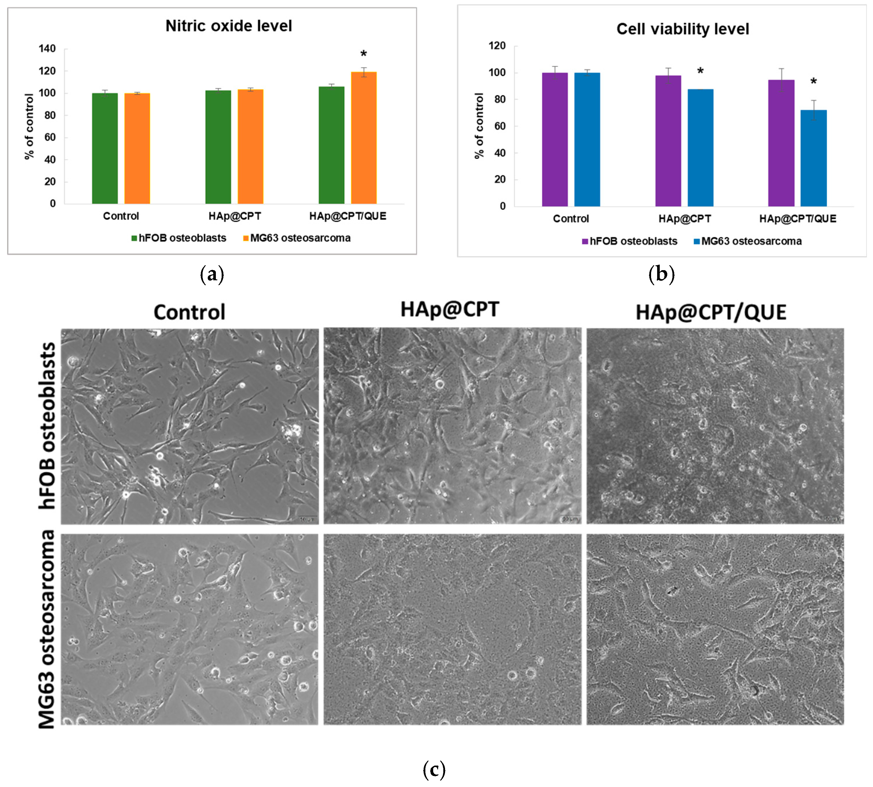 Coatings 15 00489 g009
