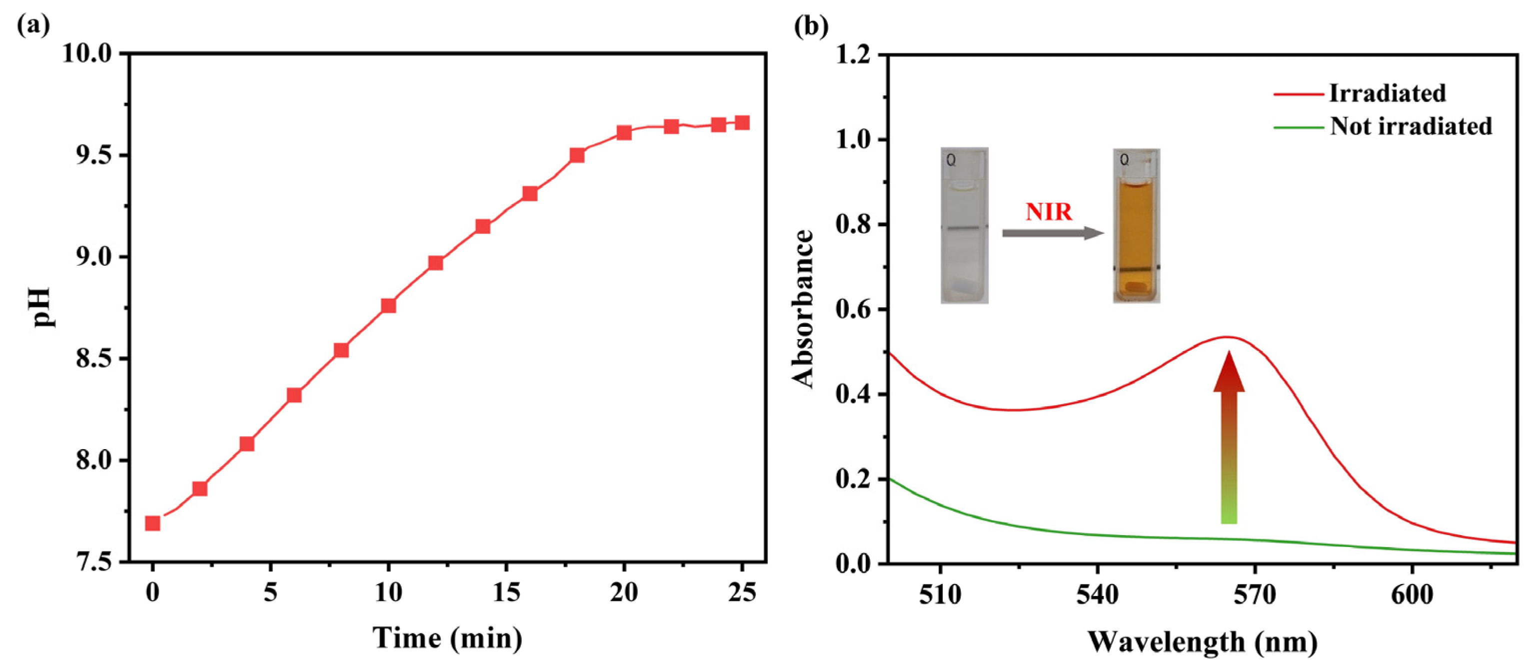 Coatings 15 00494 g005
