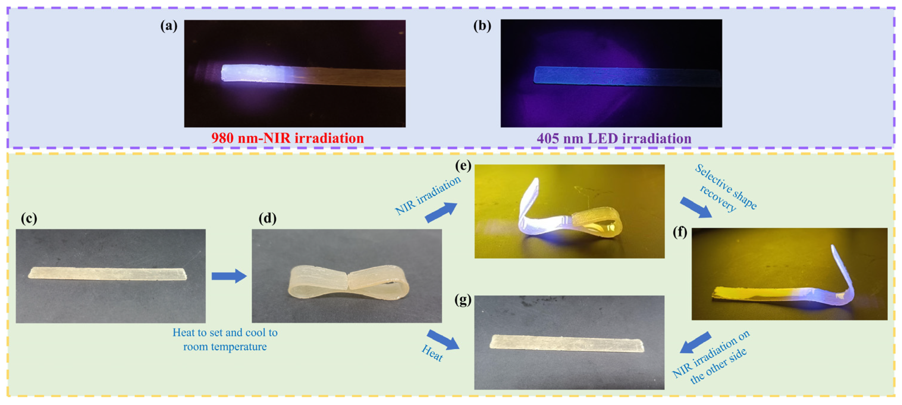 Coatings 15 00494 g009