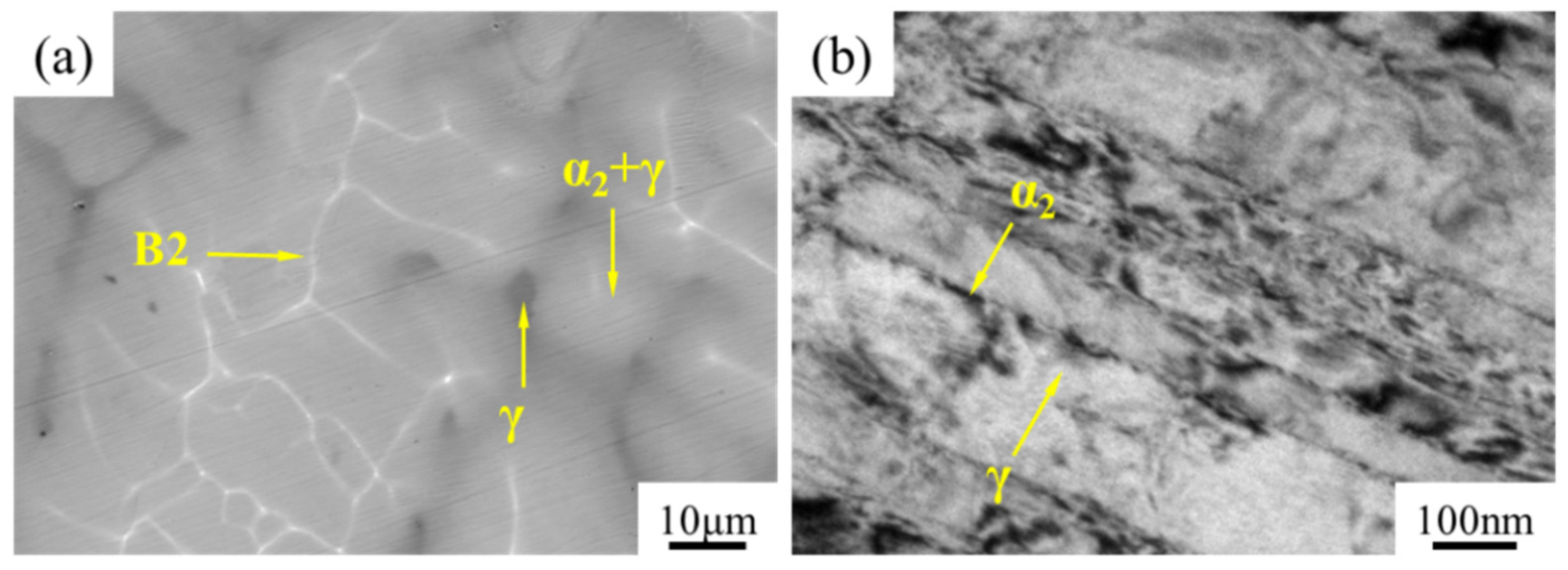 Coatings 15 00495 g006