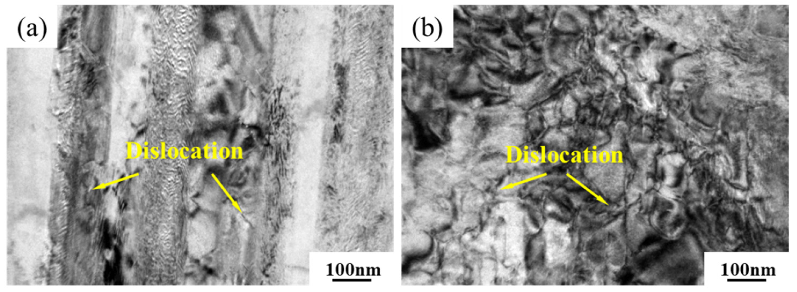 Coatings 15 00495 g013