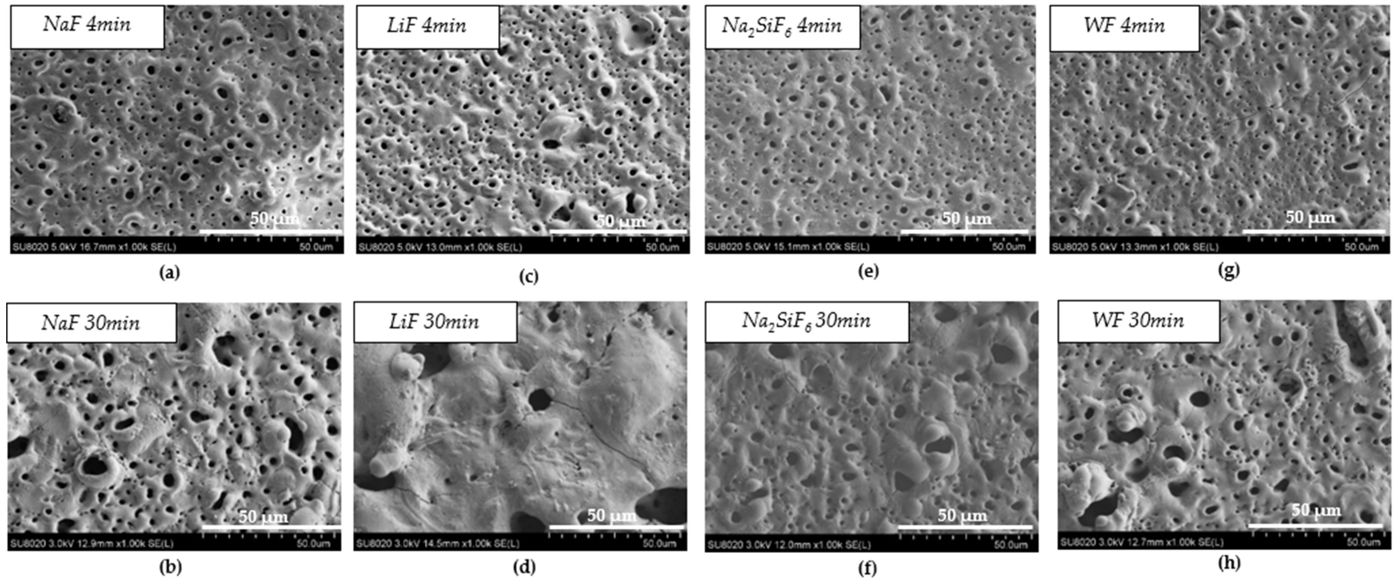 Coatings 15 00498 g001