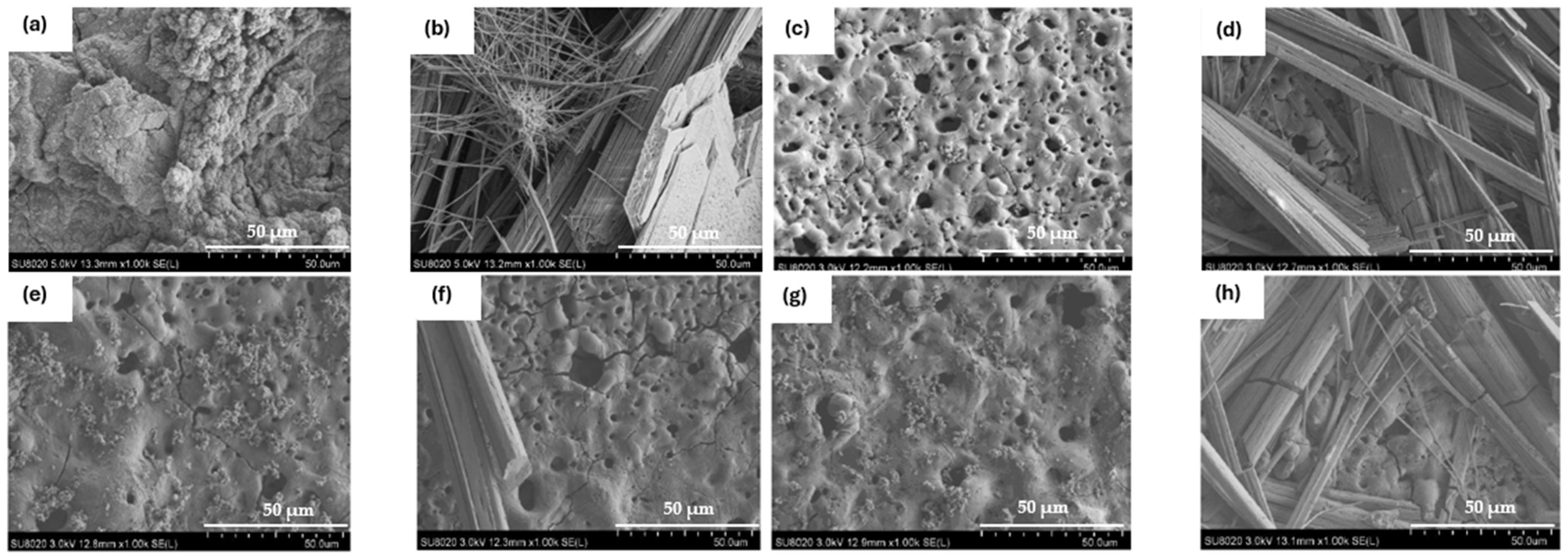 Coatings 15 00498 g014
