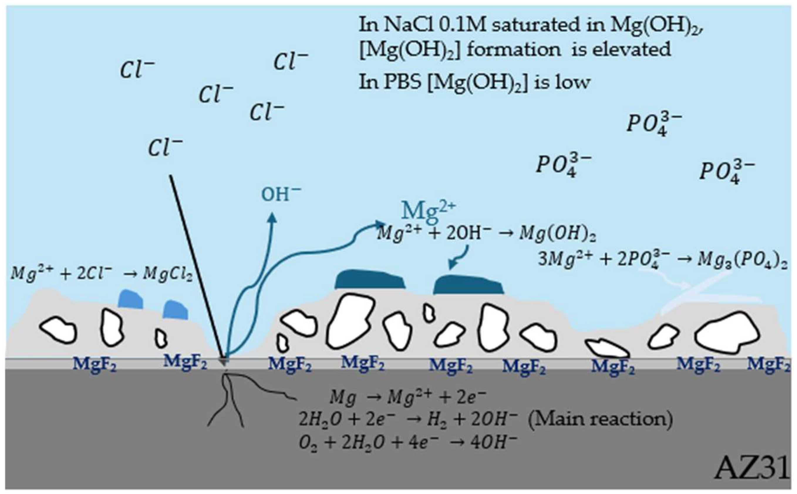 Coatings 15 00498 g015
