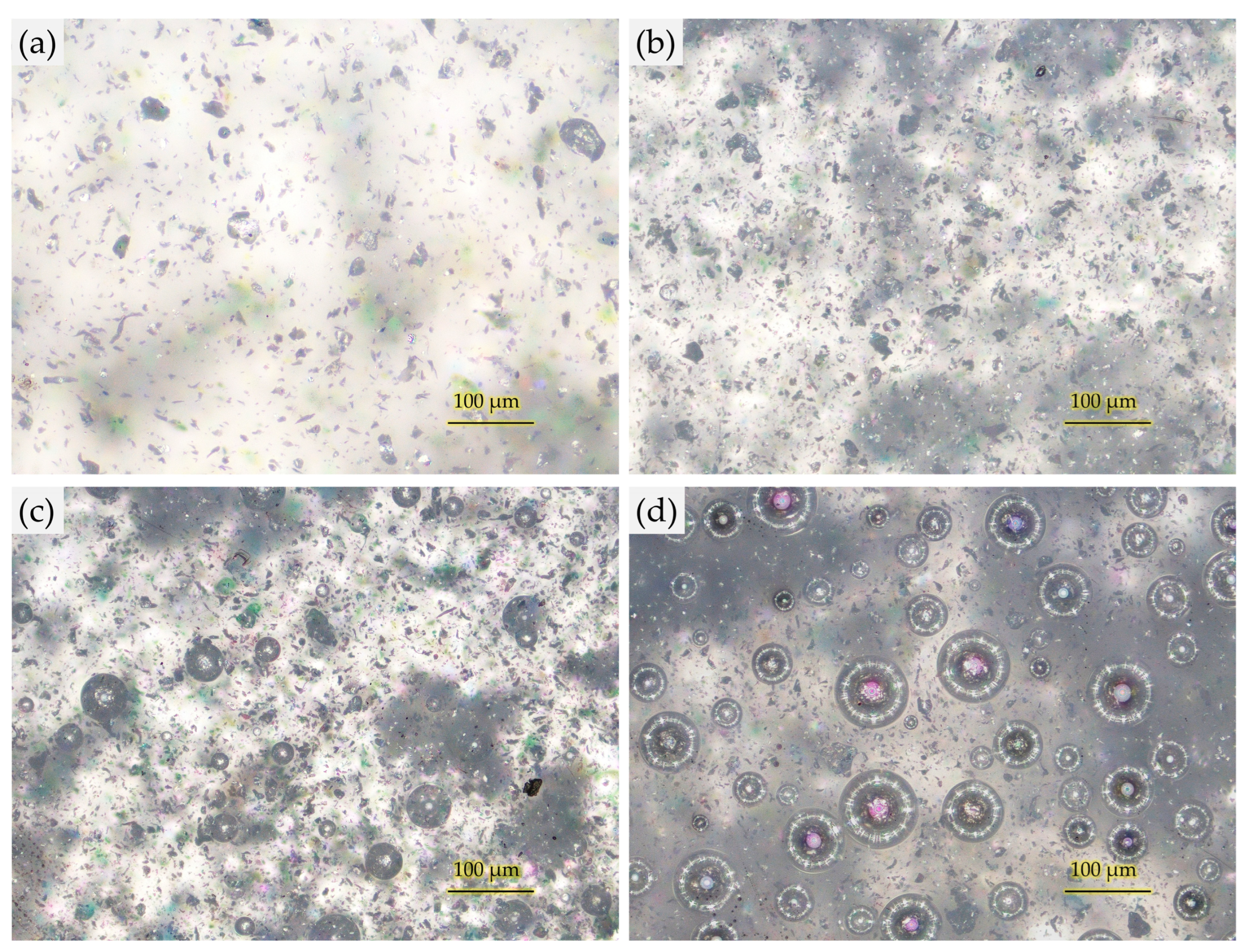 Coatings 15 00501 g003