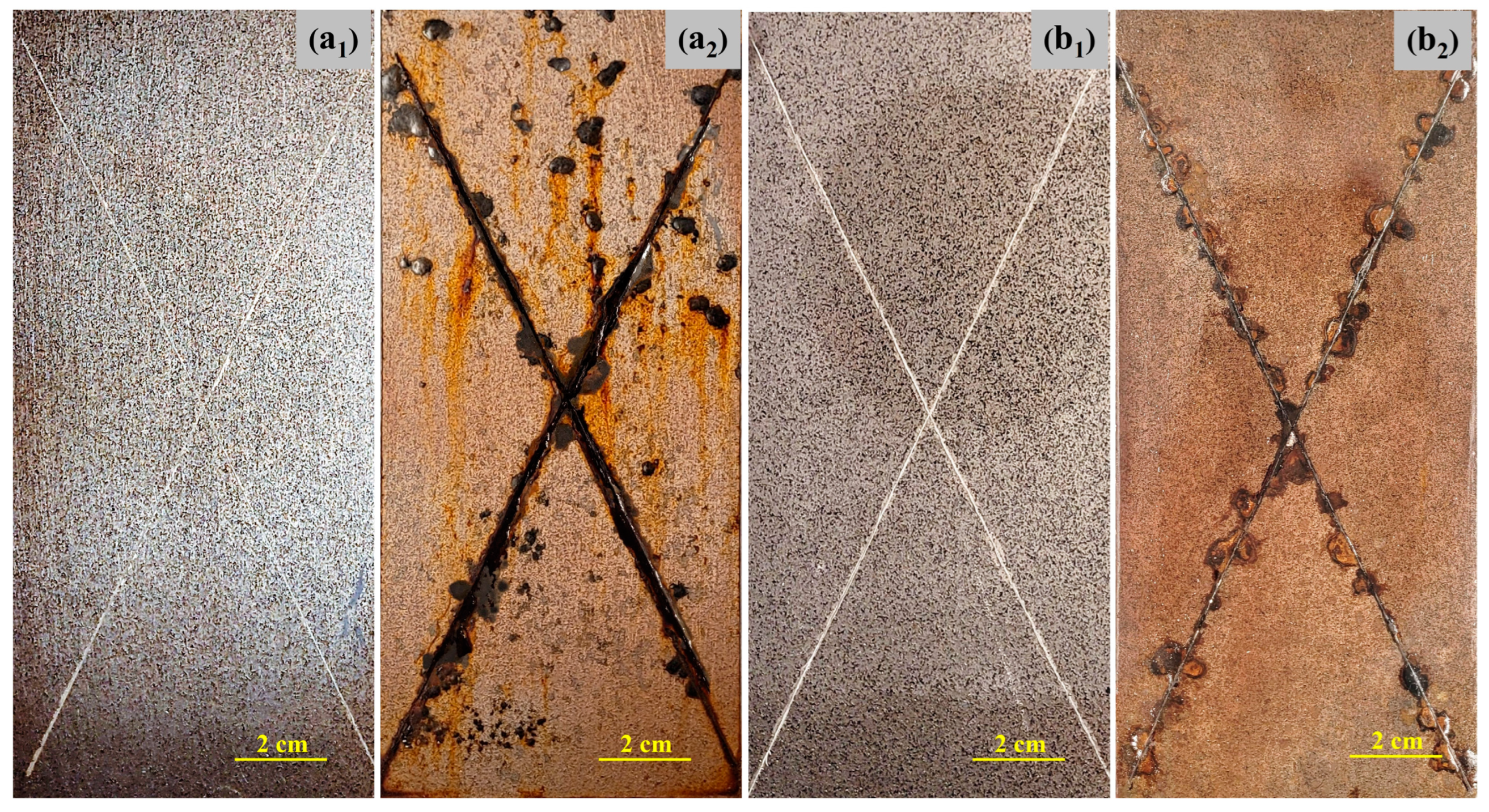 Coatings 15 00501 g004