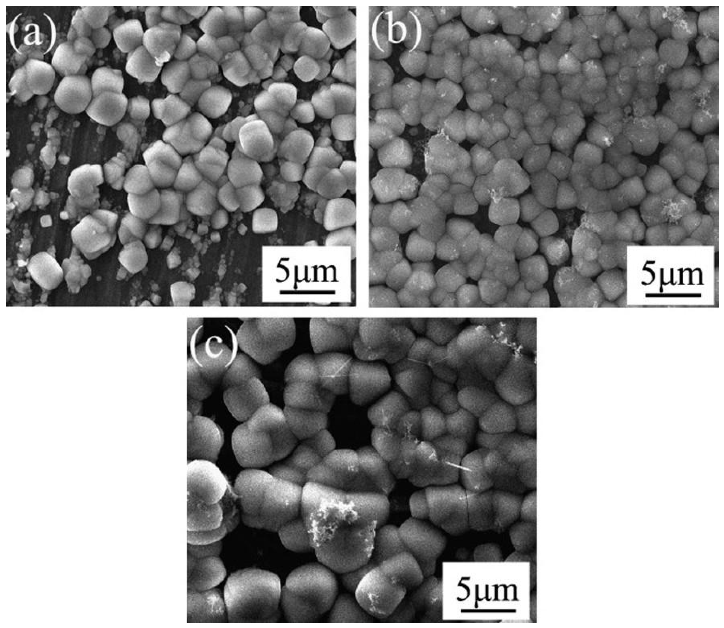 Coatings 15 00502 g005