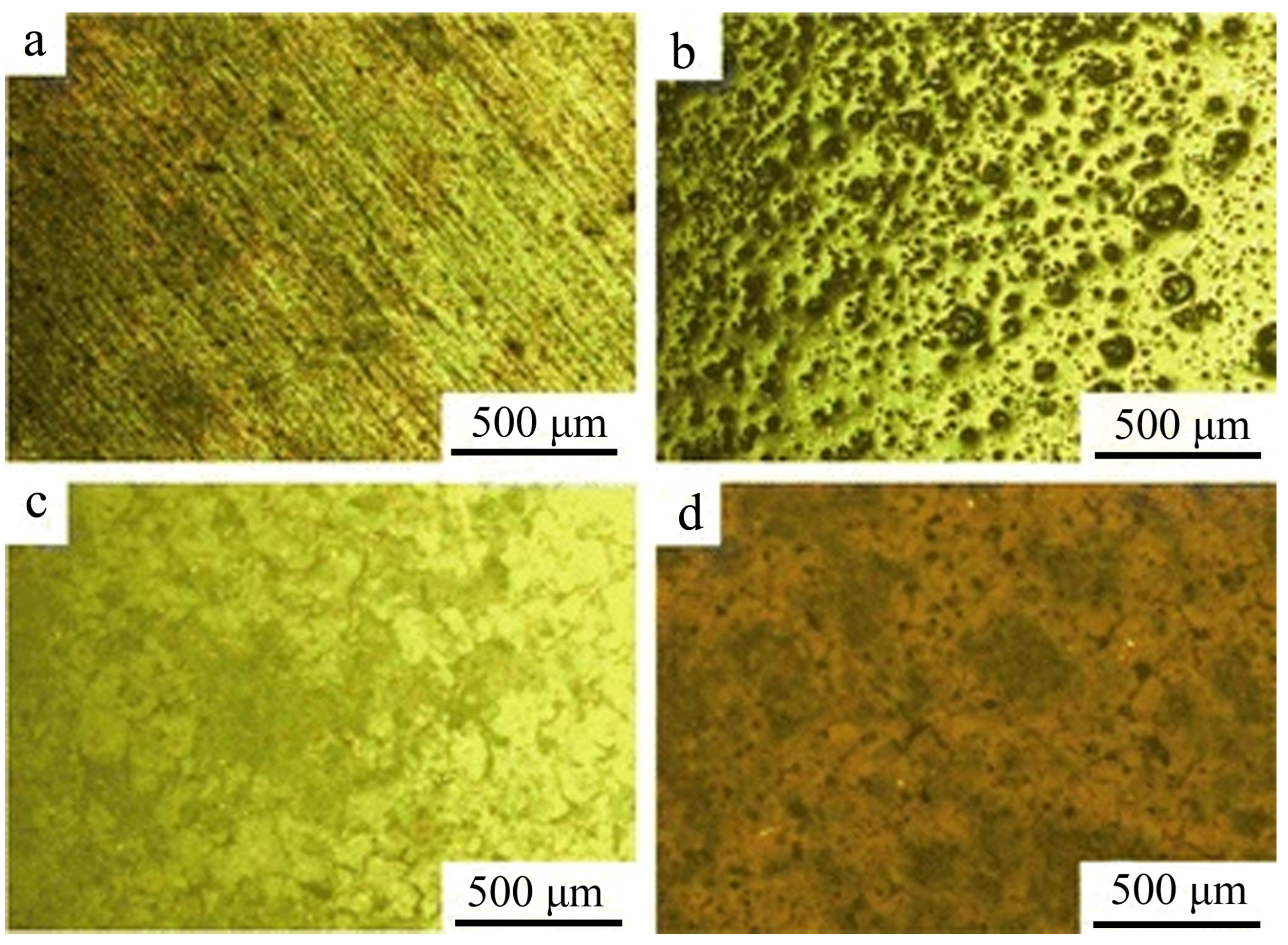 Coatings 15 00502 g006