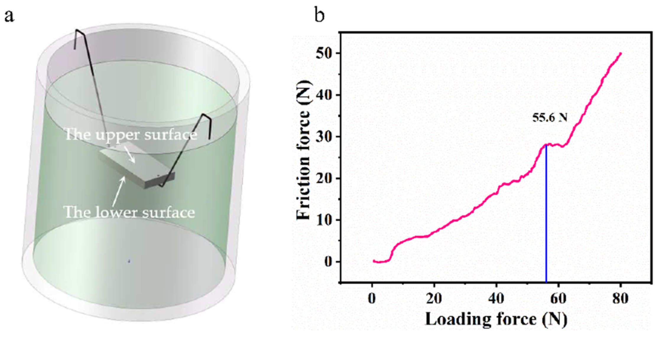 Coatings 15 00502 g007