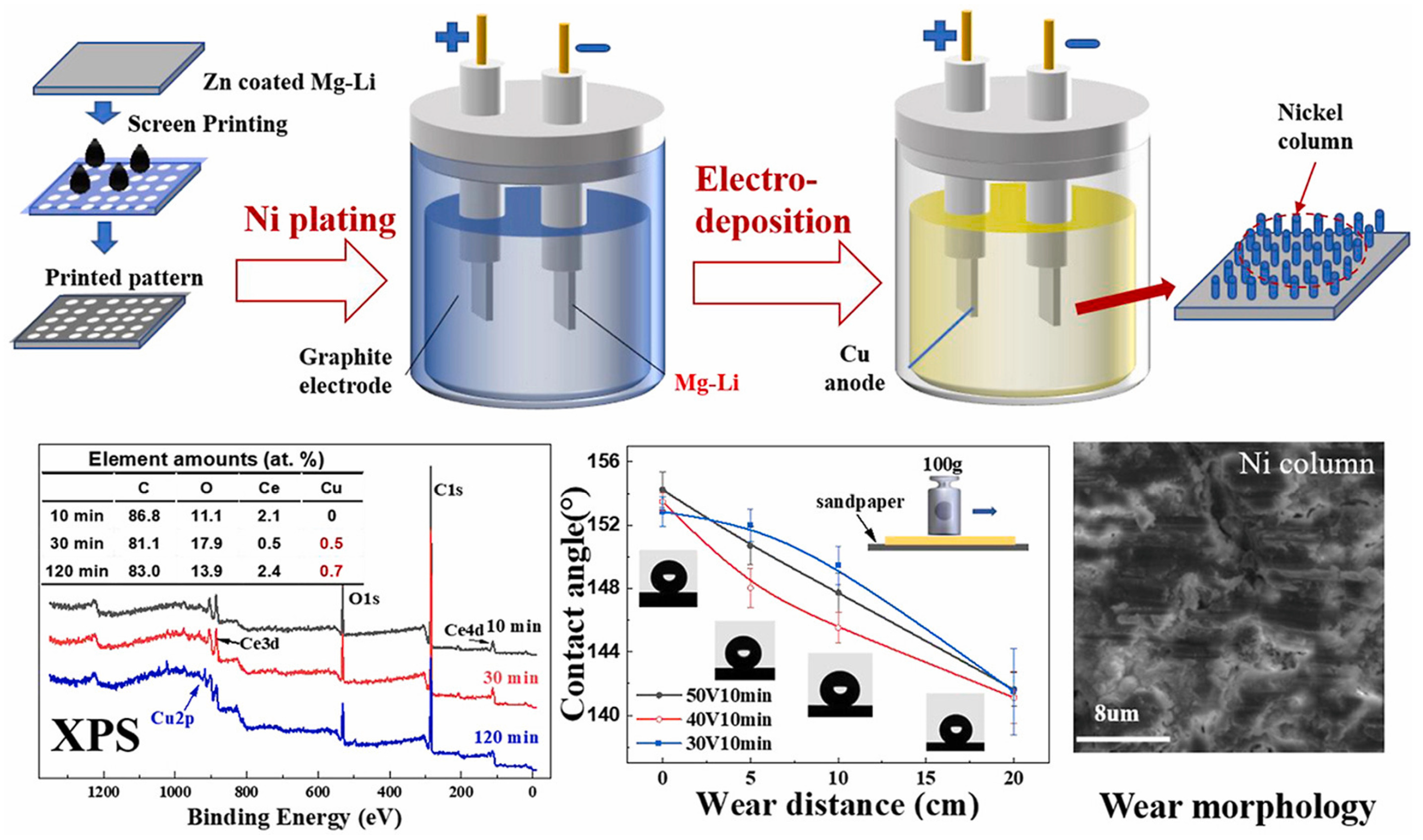 Coatings 15 00502 g013