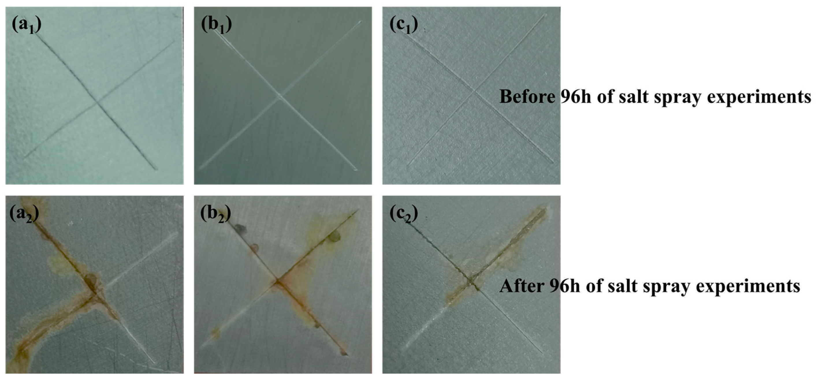 Coatings 15 00505 g011