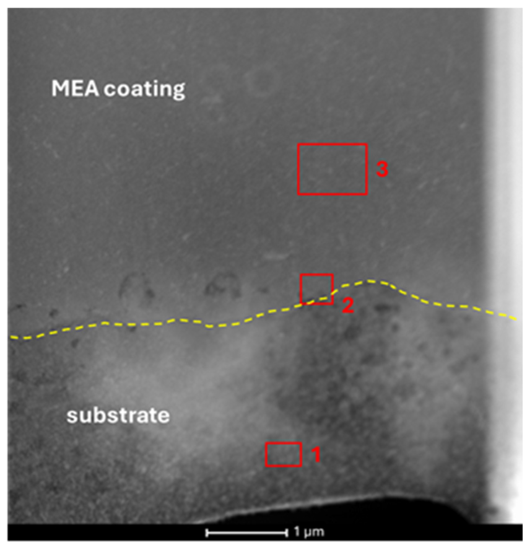 Coatings 15 00509 g006