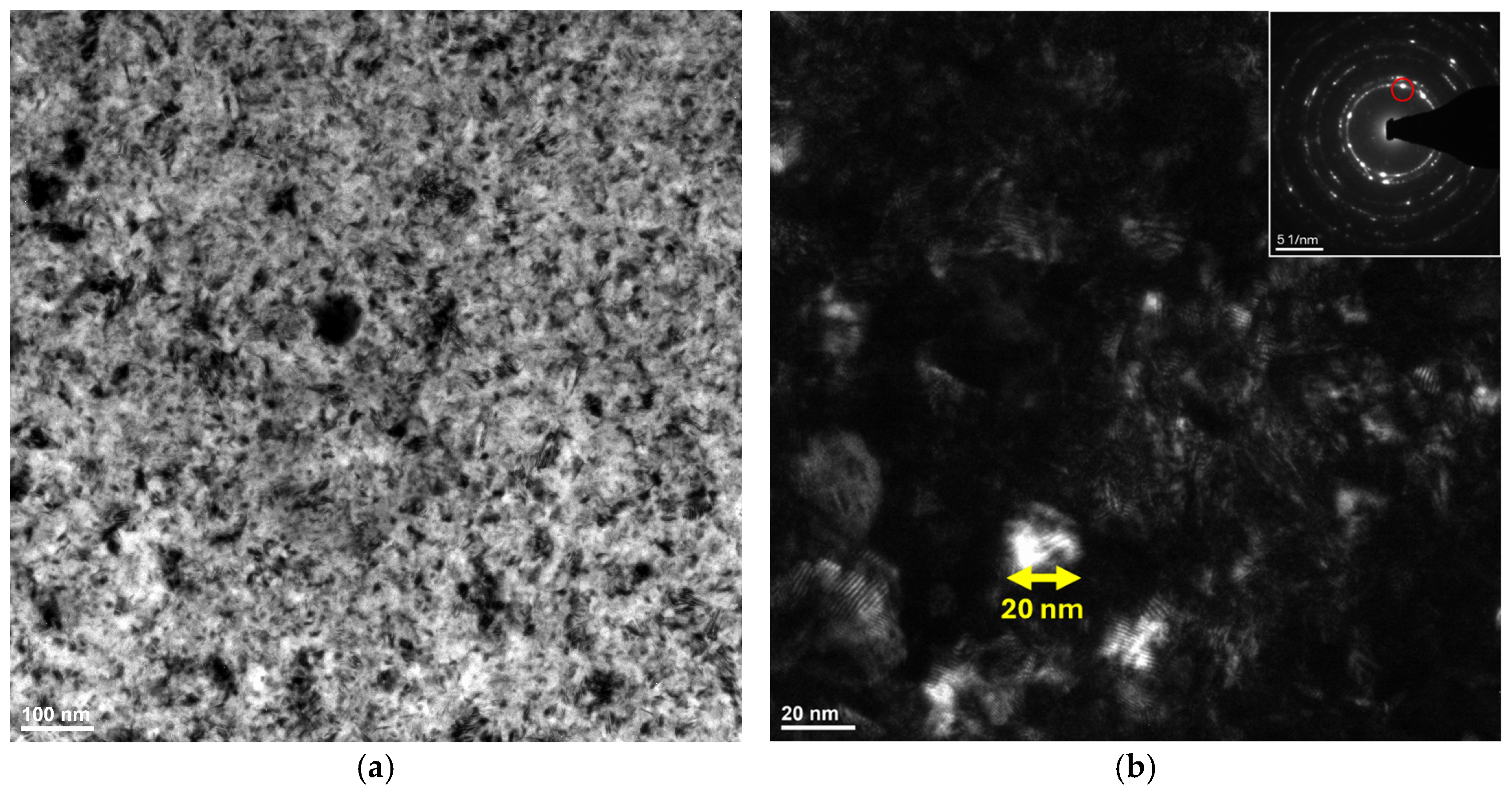 Coatings 15 00509 g007