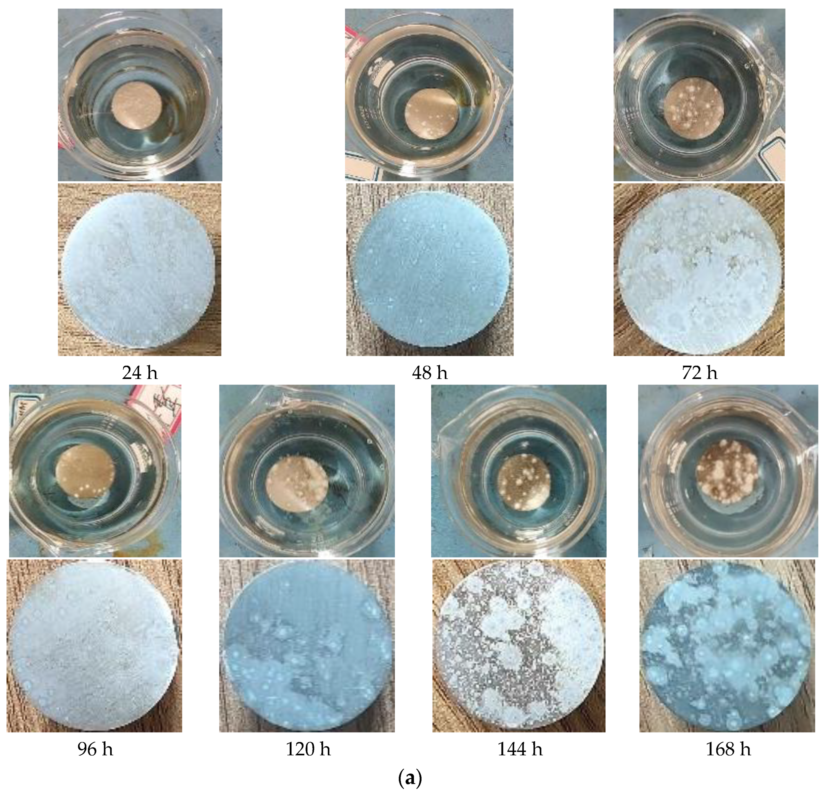 Coatings 15 00516 g004a