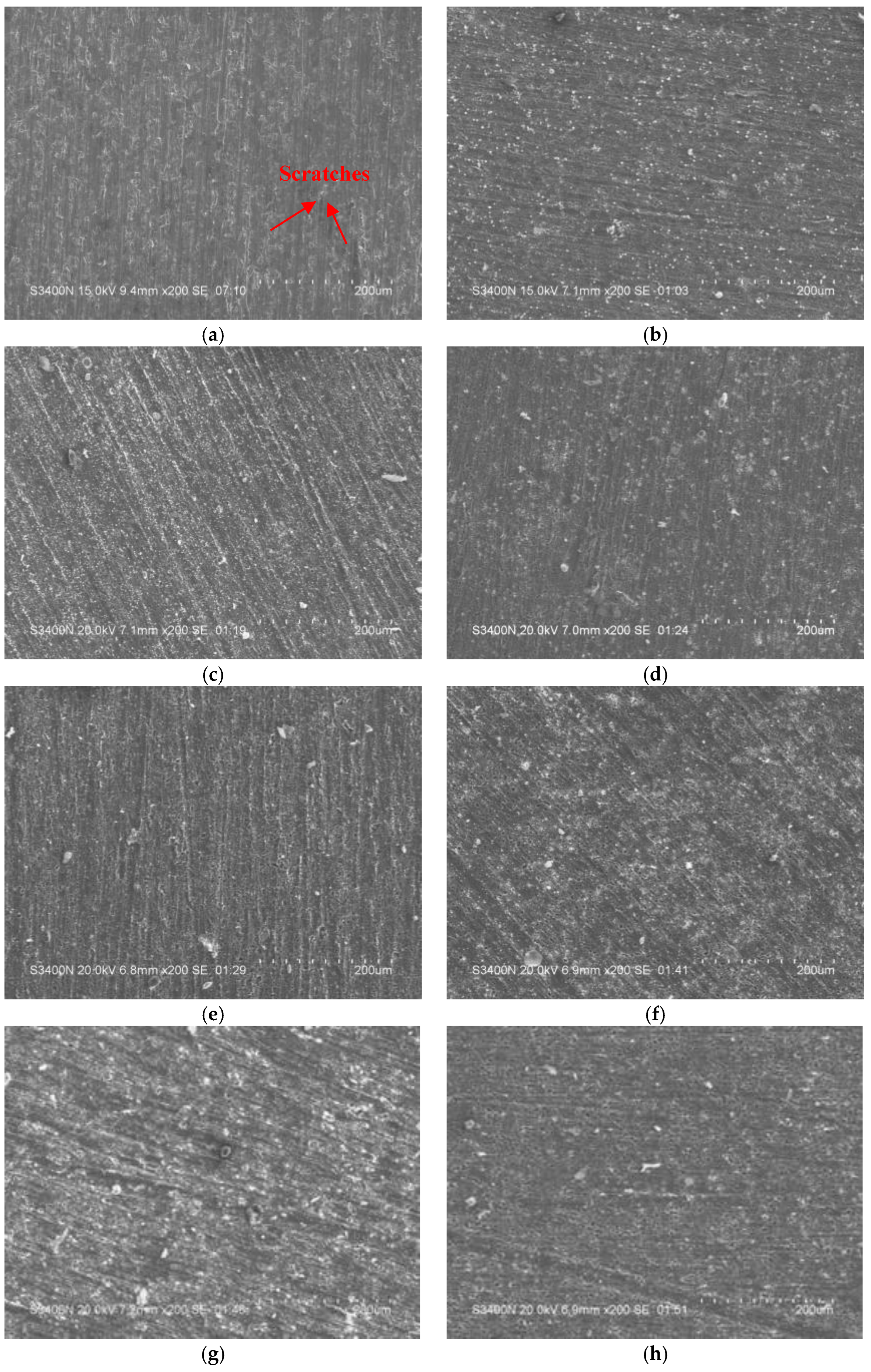 Coatings 15 00516 g005a