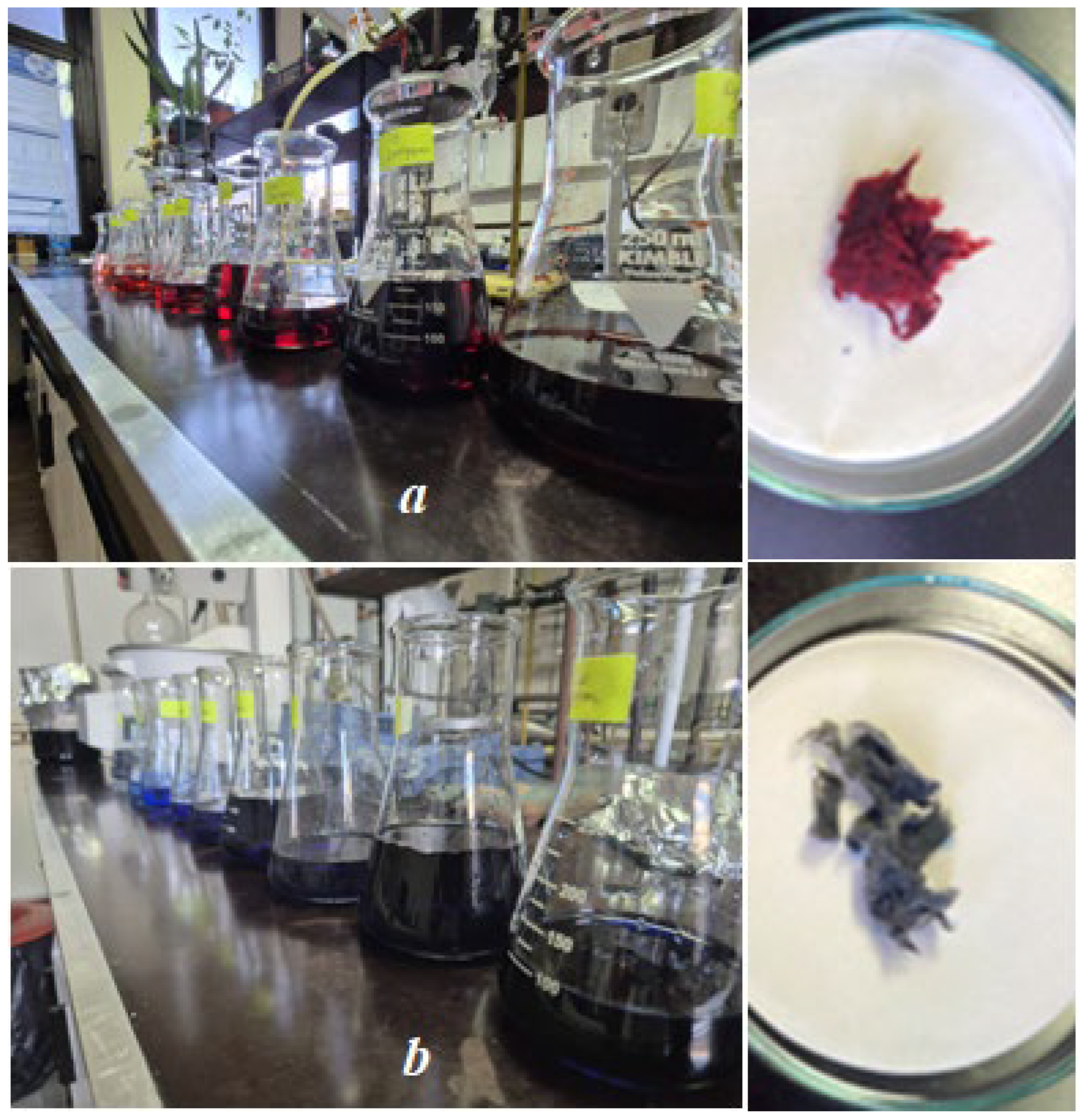 Coatings 15 00519 g001