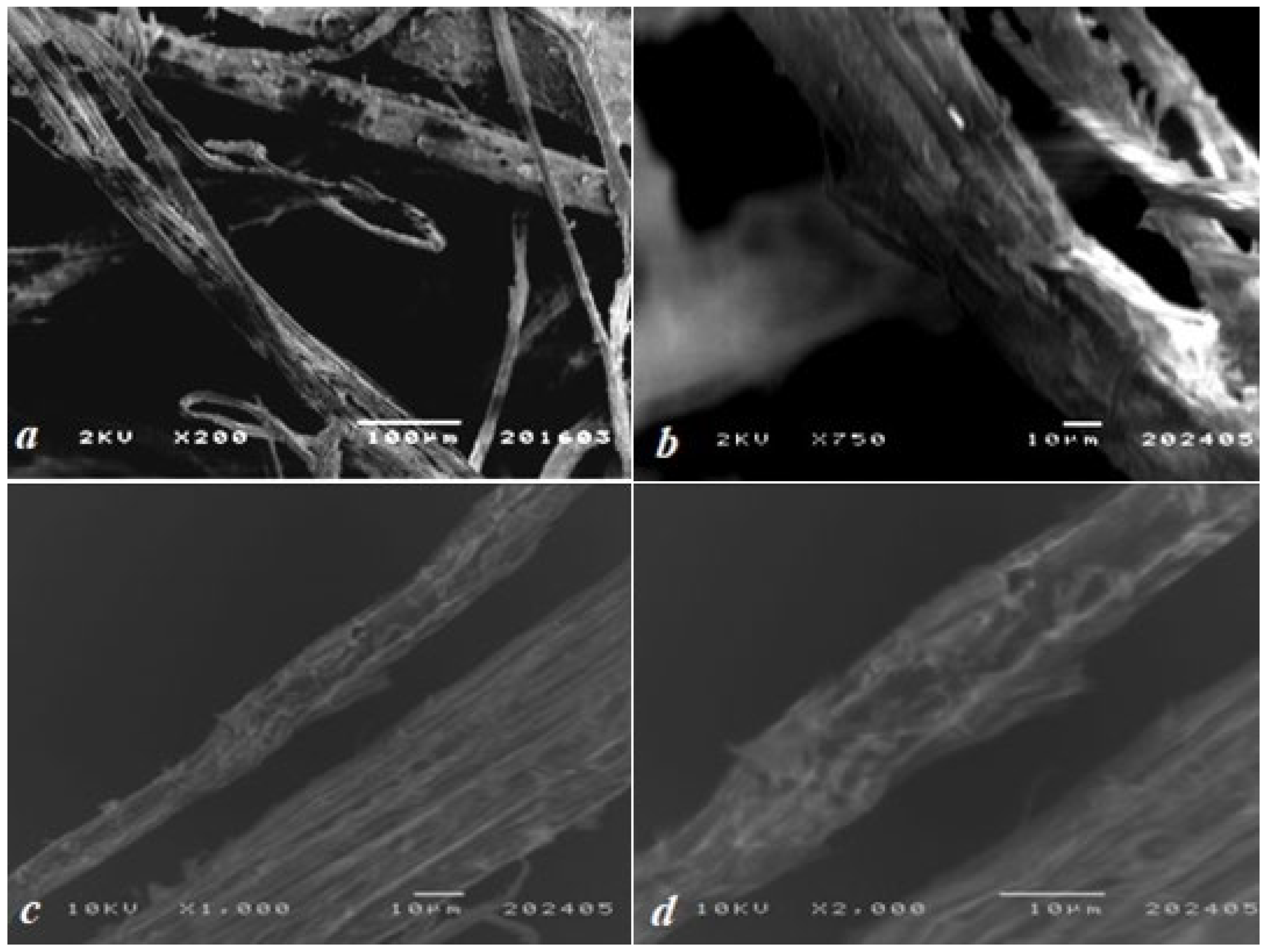 Coatings 15 00519 g002