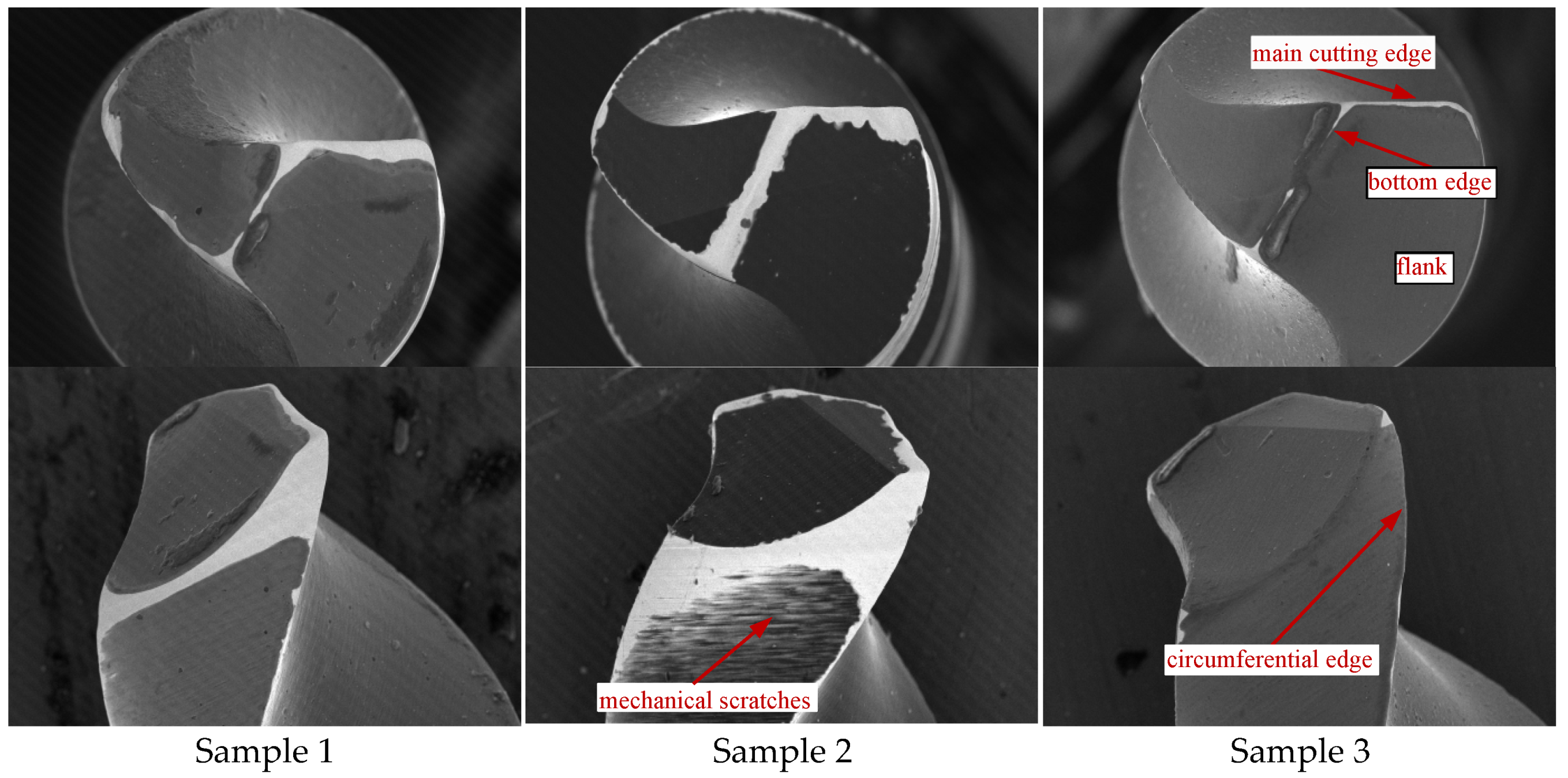 Coatings 15 00520 g007