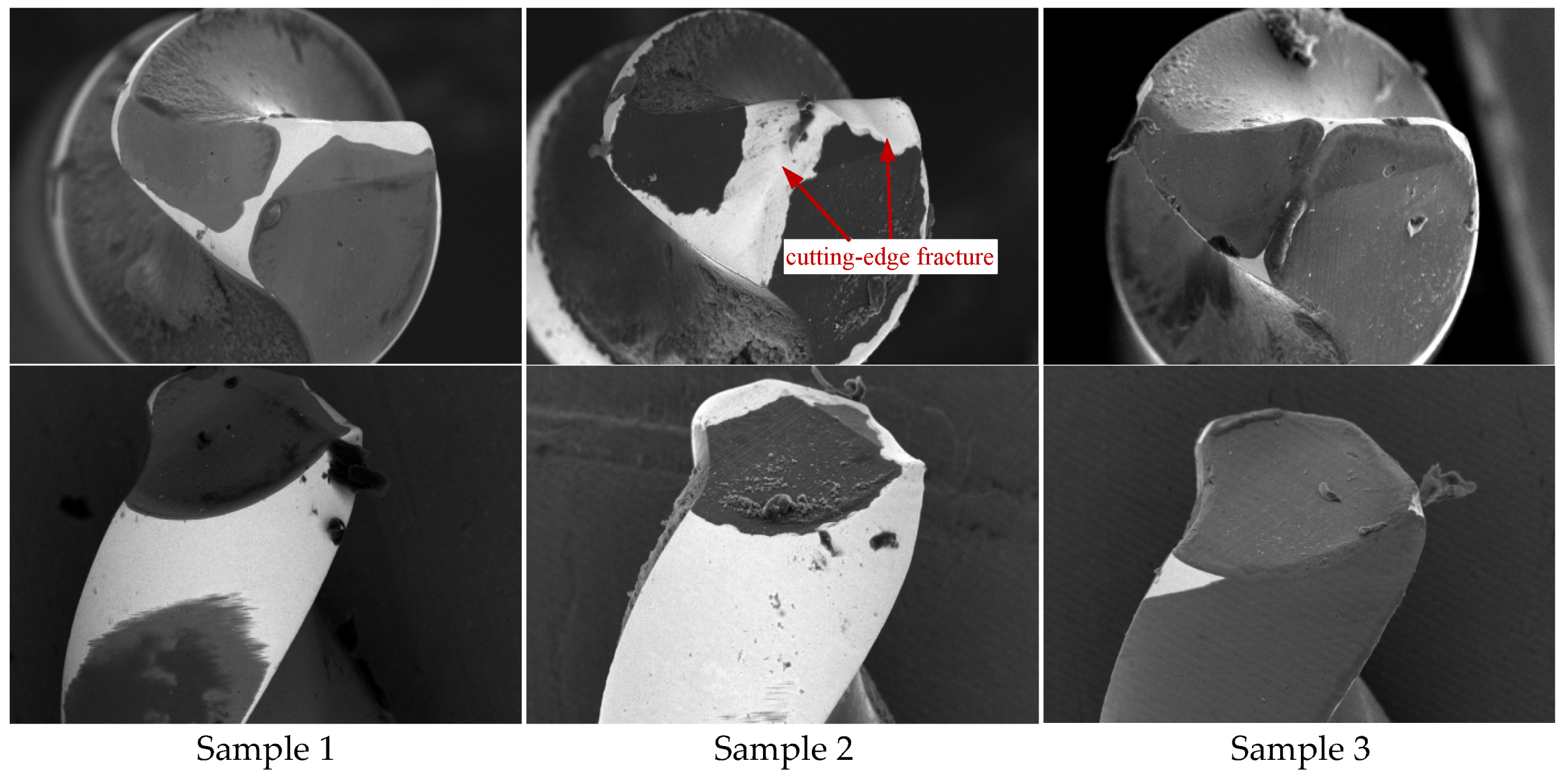 Coatings 15 00520 g009