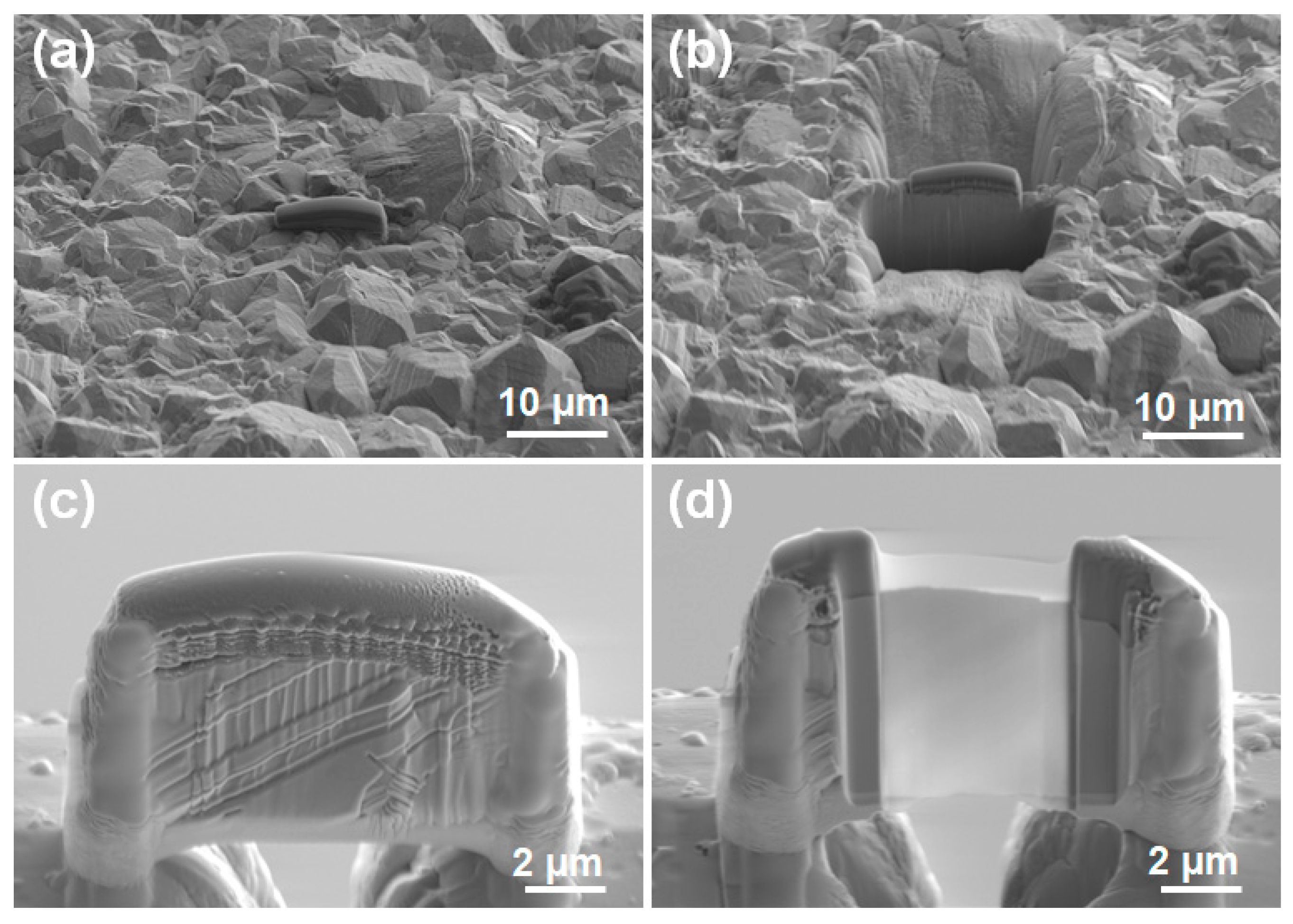 Coatings 15 00521 g001