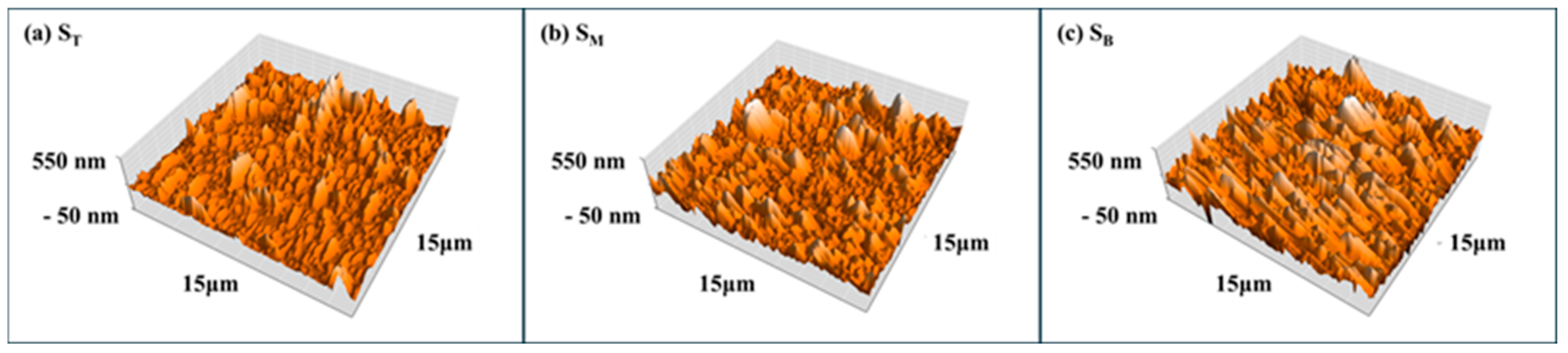 Coatings 15 00563 g014