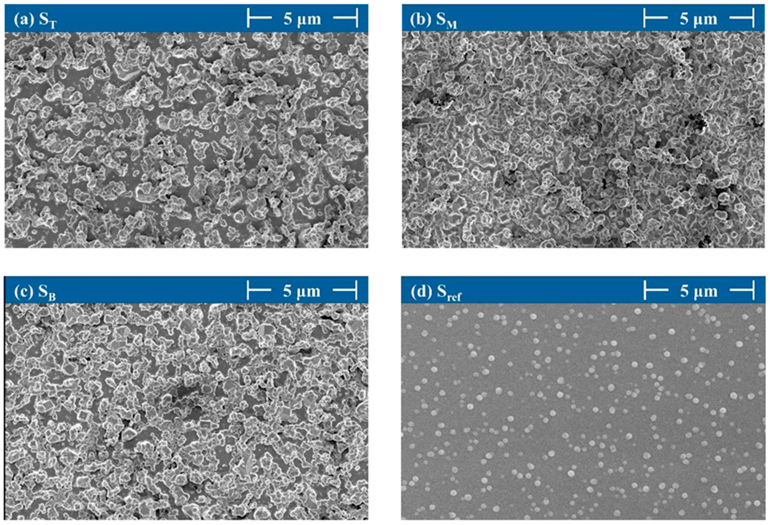 Coatings 15 00563 g016