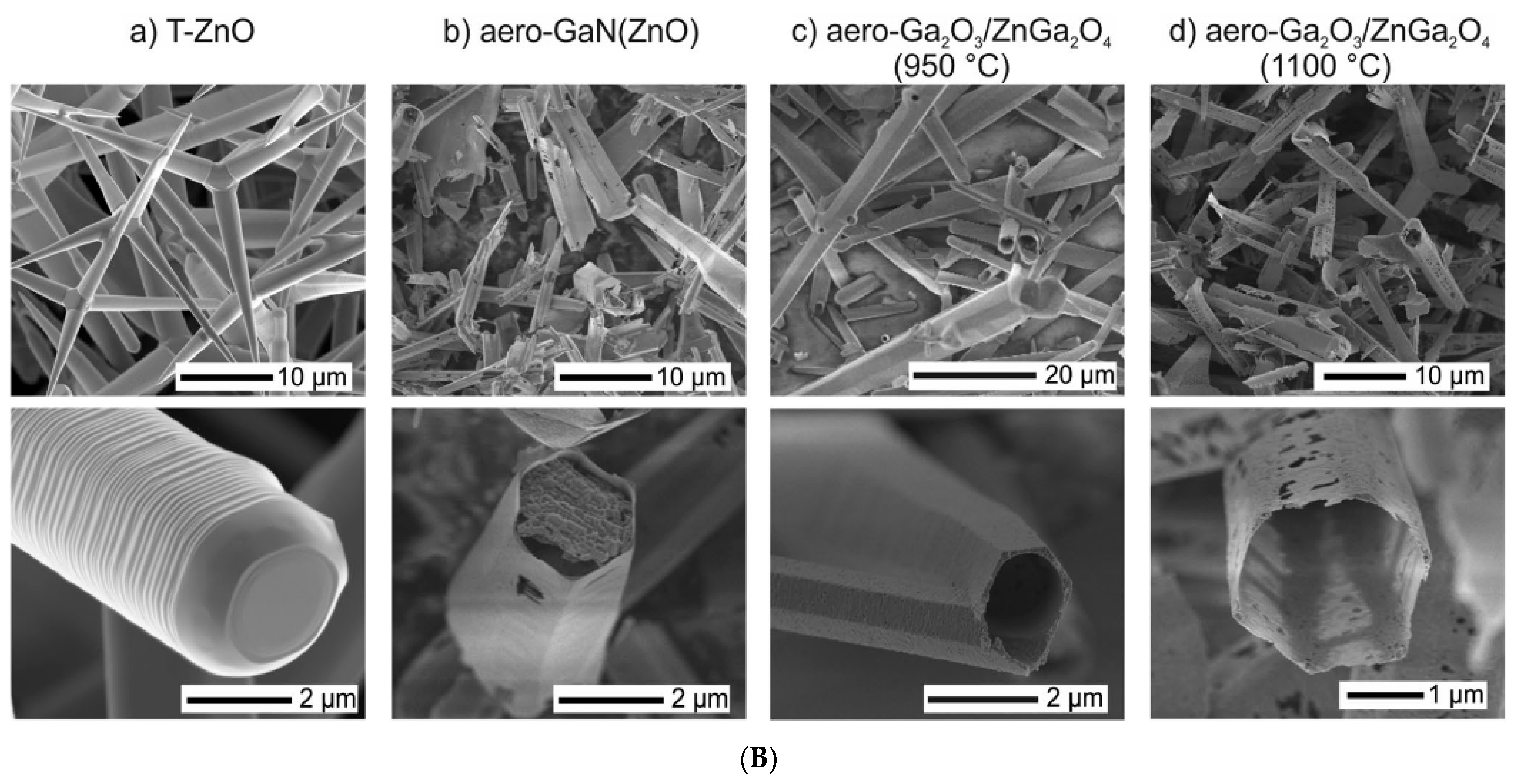 Coatings 15 00754 g008b