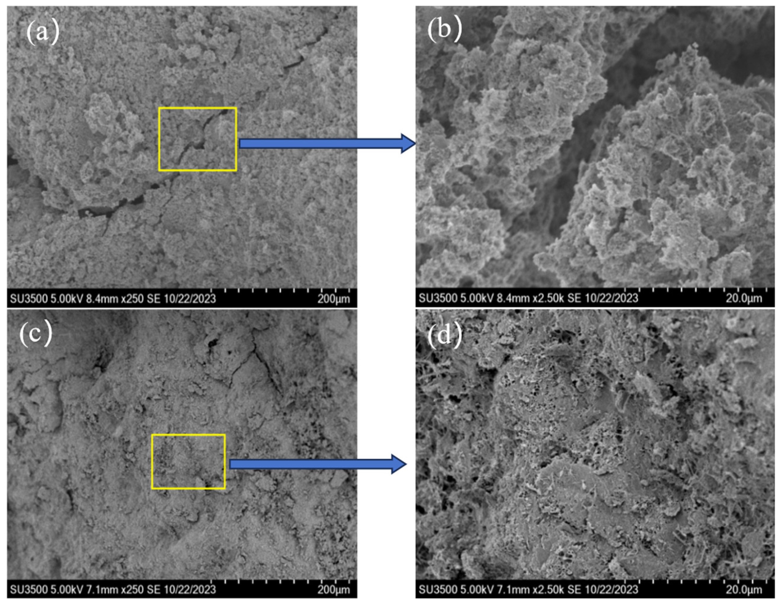 Coatings 15 00759 g006