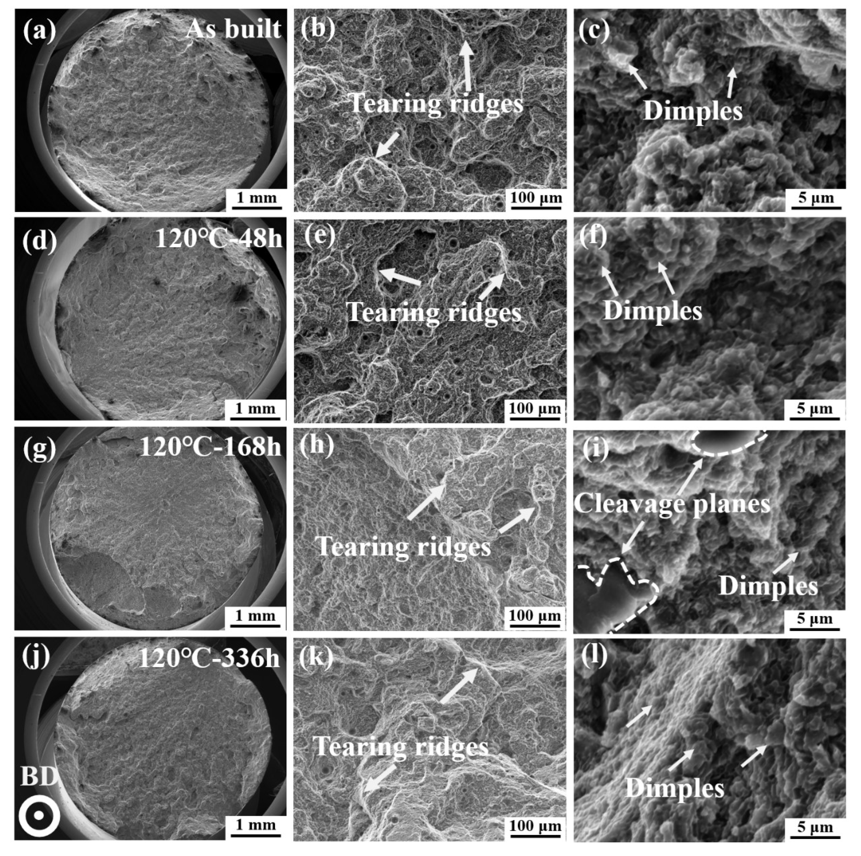 Coatings 15 00780 g010